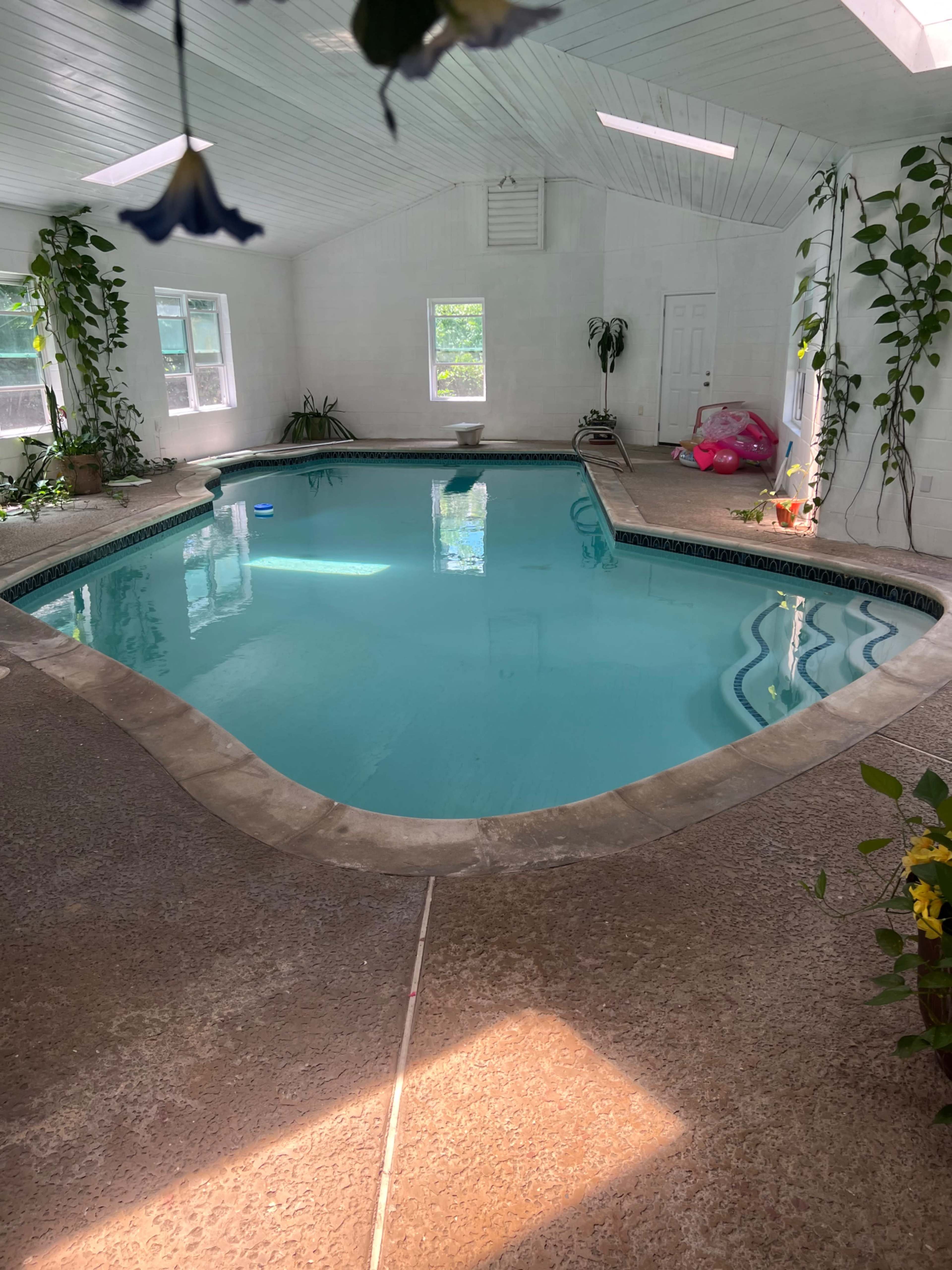 An indoor swimming pool surrounded by plants and bright windows allowing natural light.