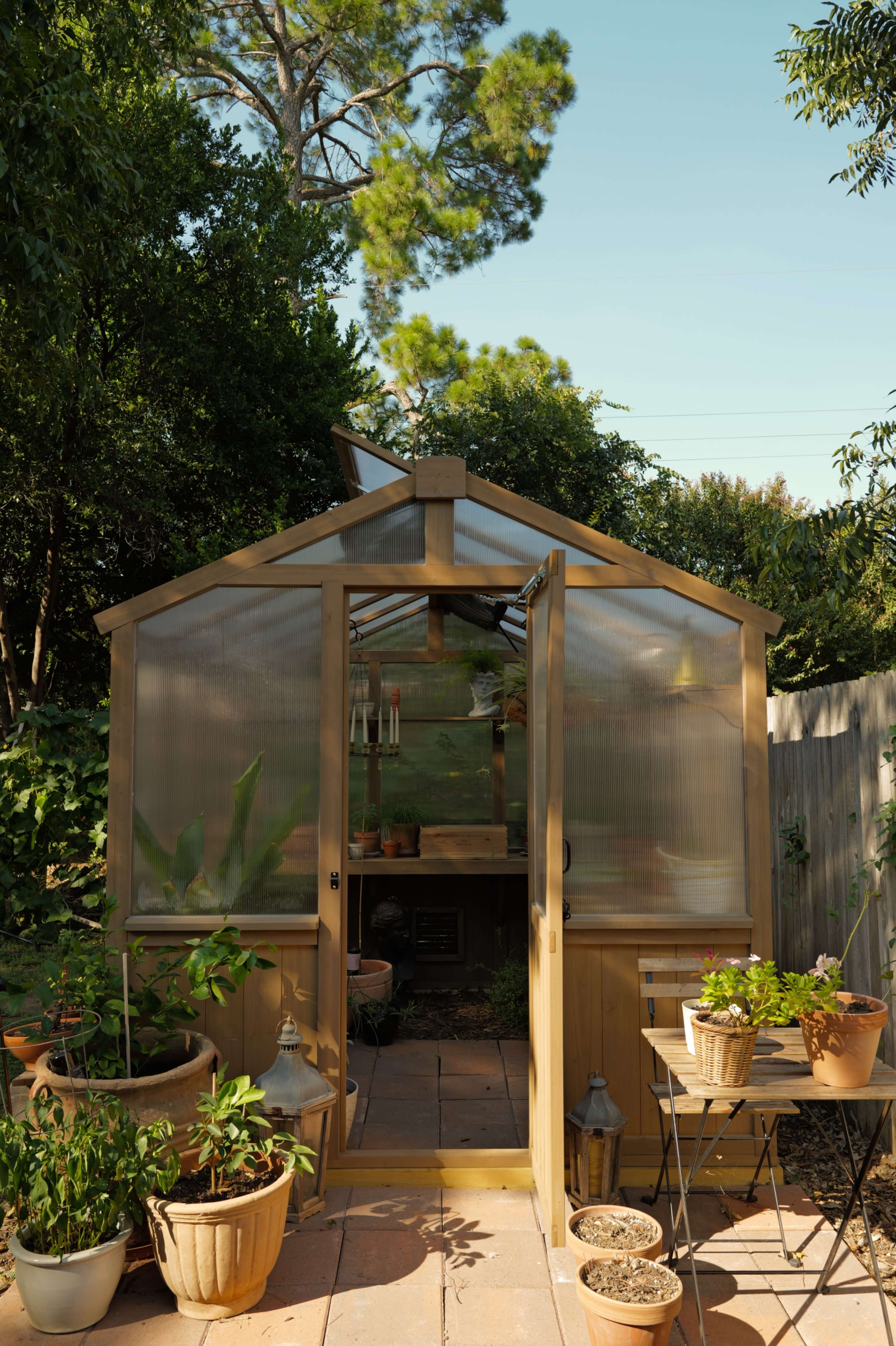 A wooden greenhouse with transparent panels stands in a garden, surrounded by potted plants and a small table.