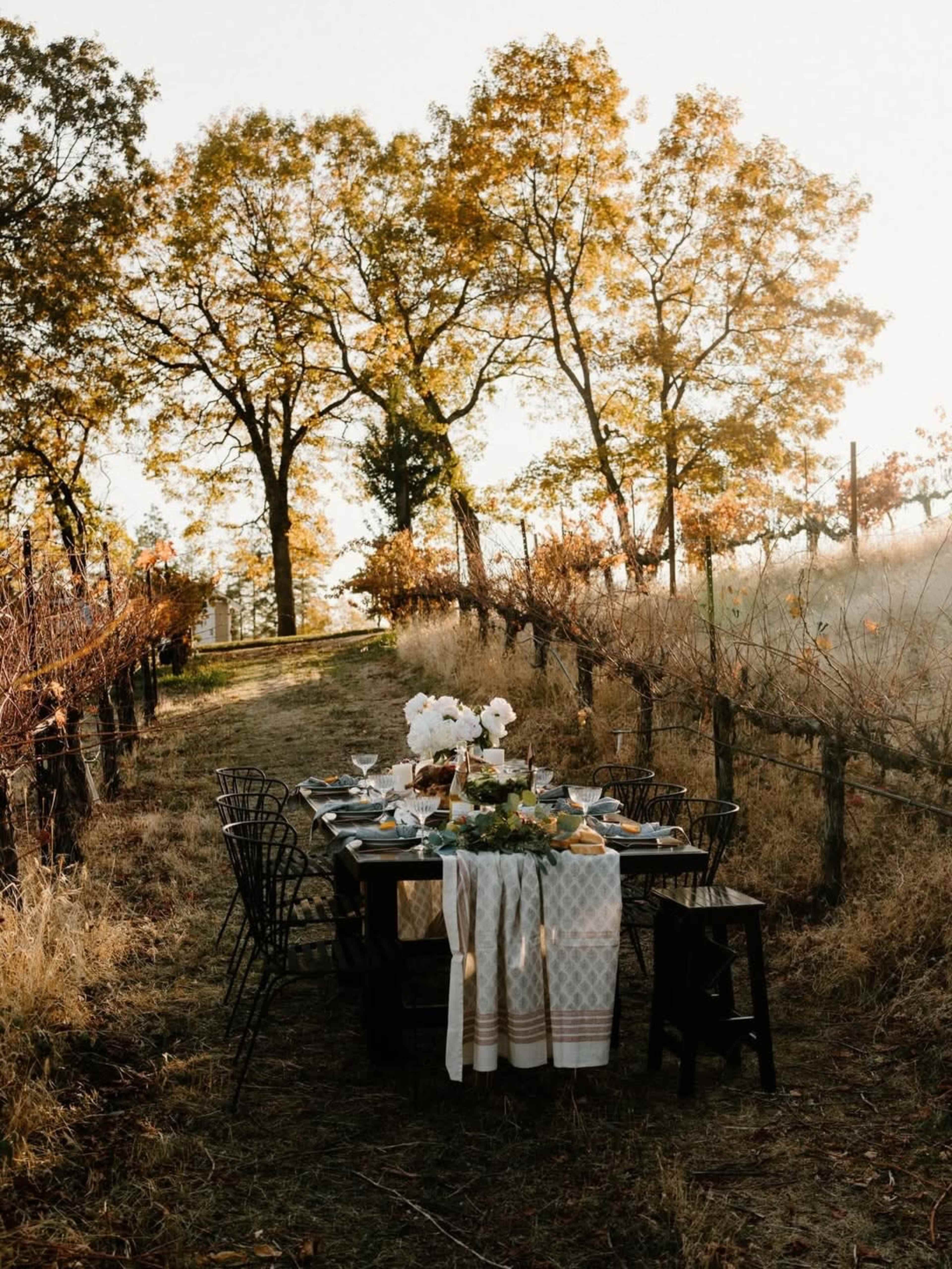 Vineyards With Incredible Mountain Views Image in , Grass Valley, CA