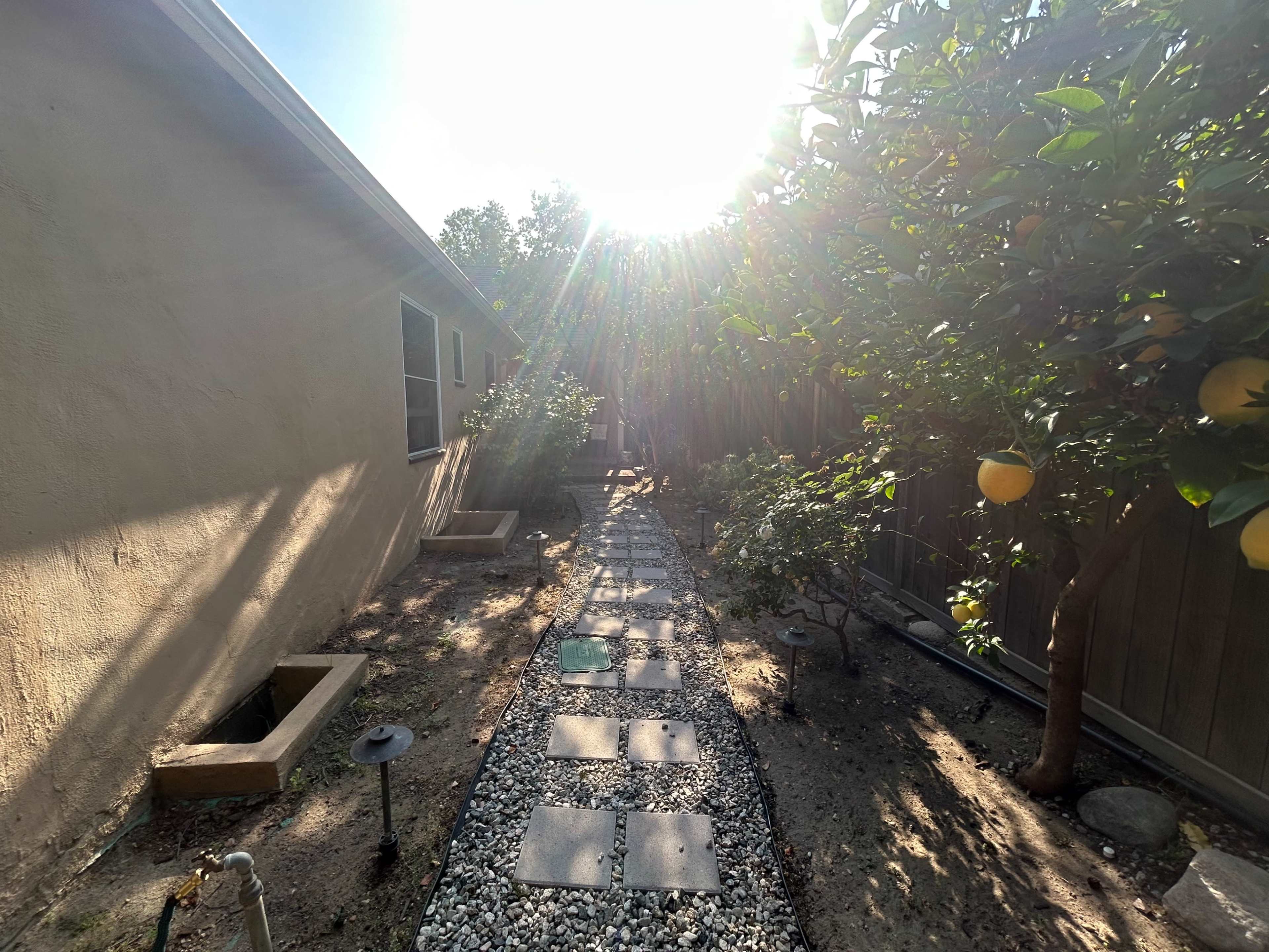 A stone pathway lined with gravel leads through a garden with a lemon tree on one side, illuminated by sunlight in the background.