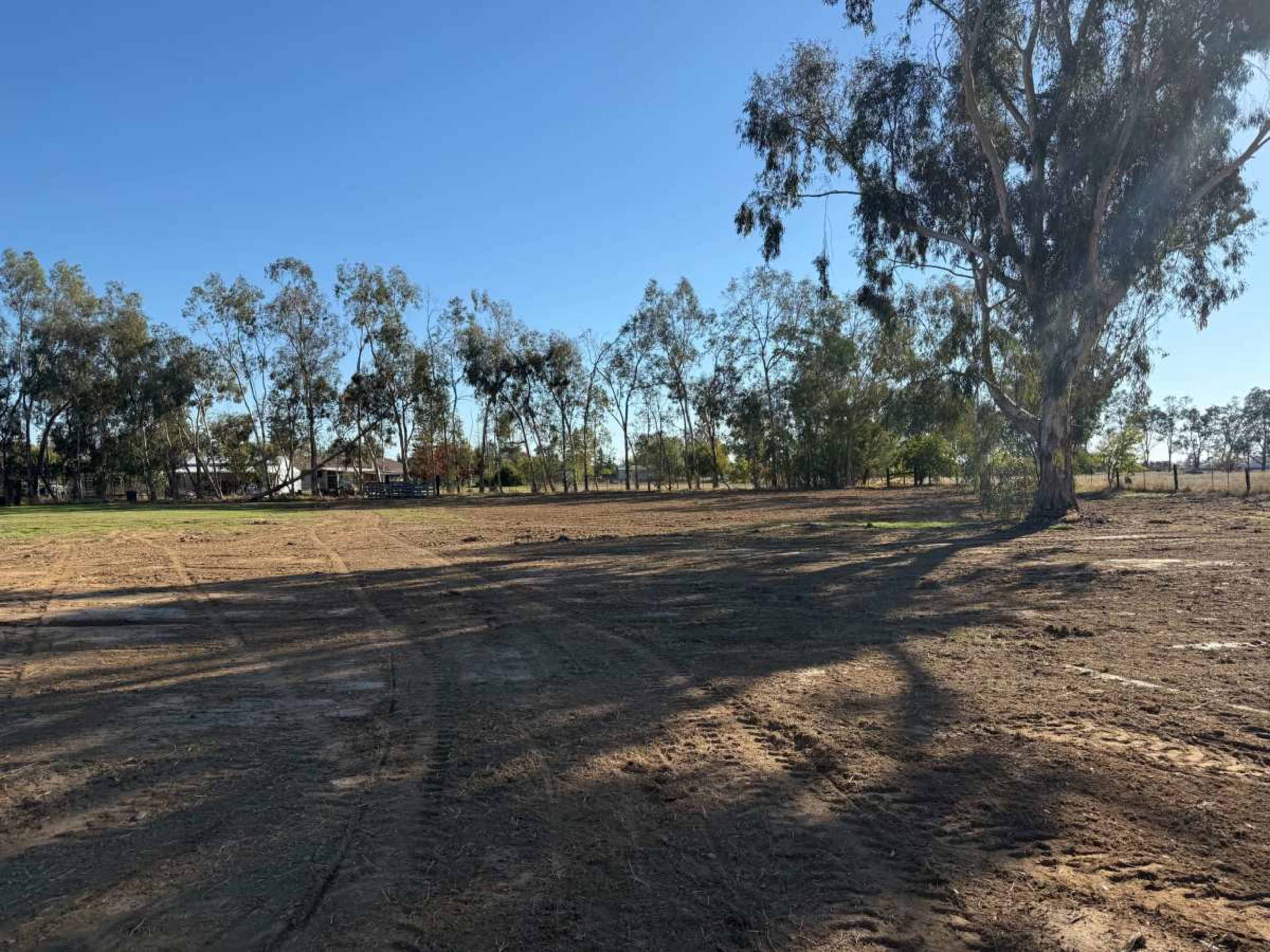 The image shows a cleared area of land with a few scattered trees under a clear blue sky.