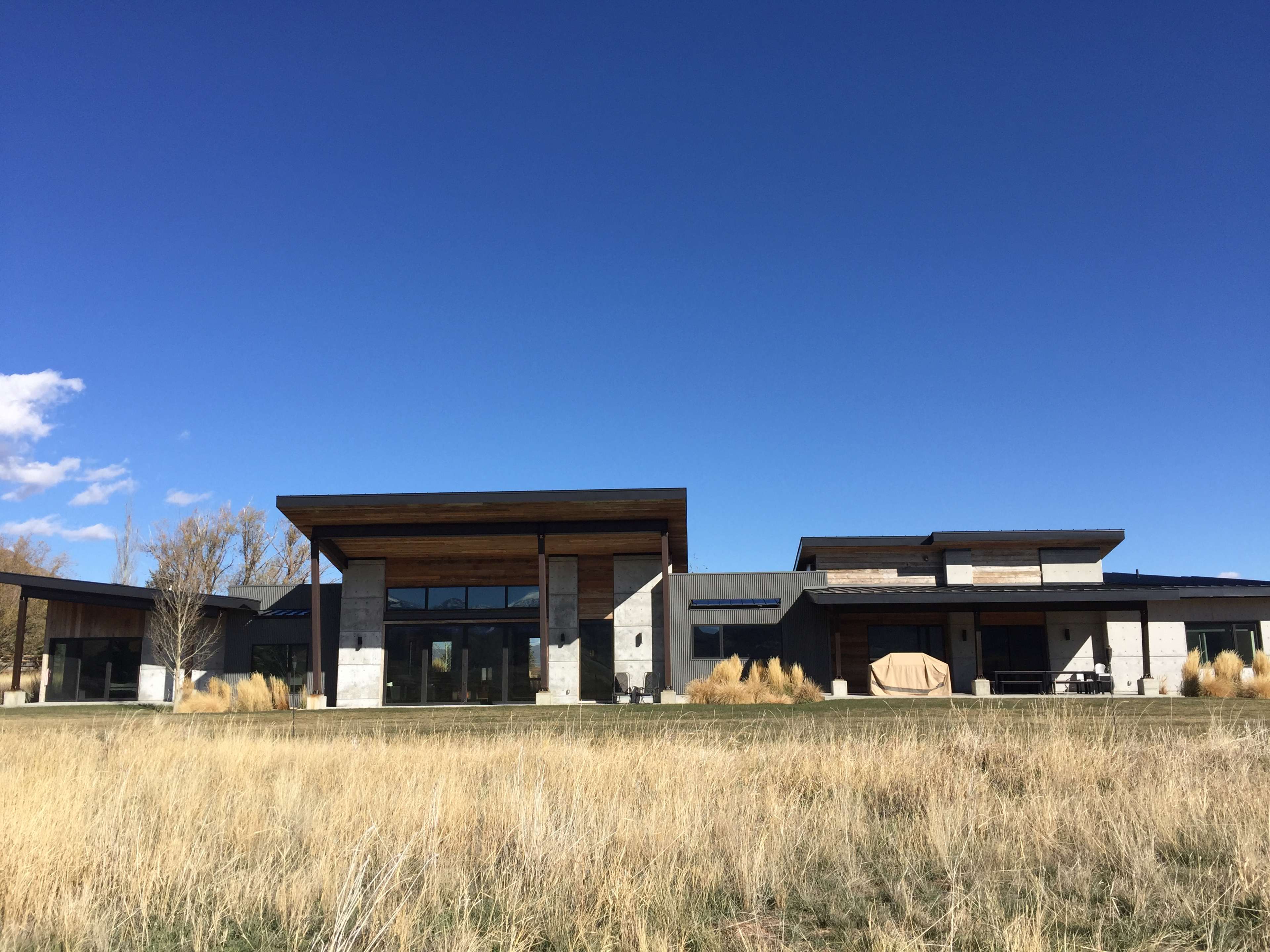 A modern single-story house with a flat roof and large windows sits in a field of tall grass under a clear blue sky.