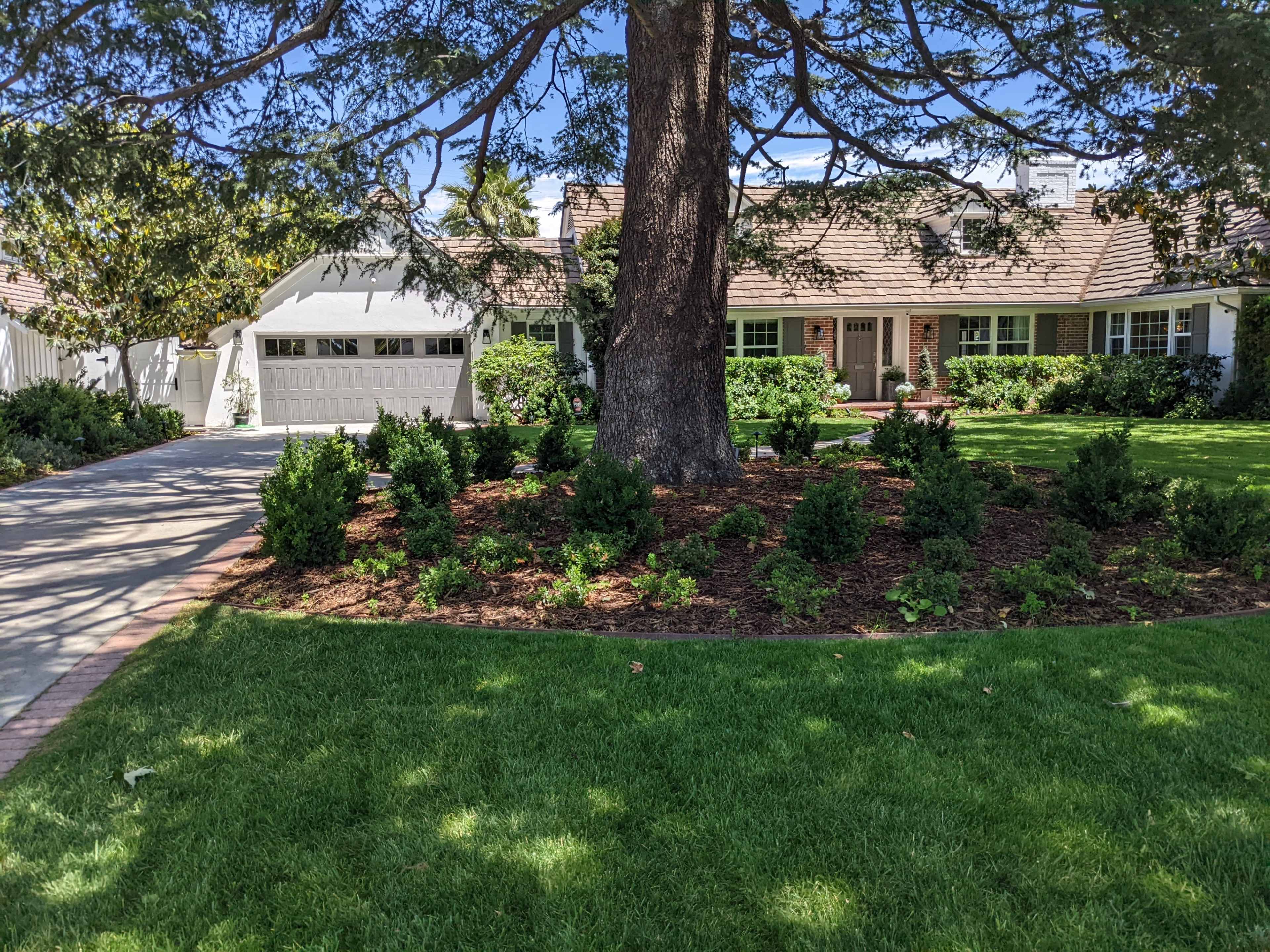 A well-maintained house with a landscaped yard featuring a large tree and neatly arranged shrubs.