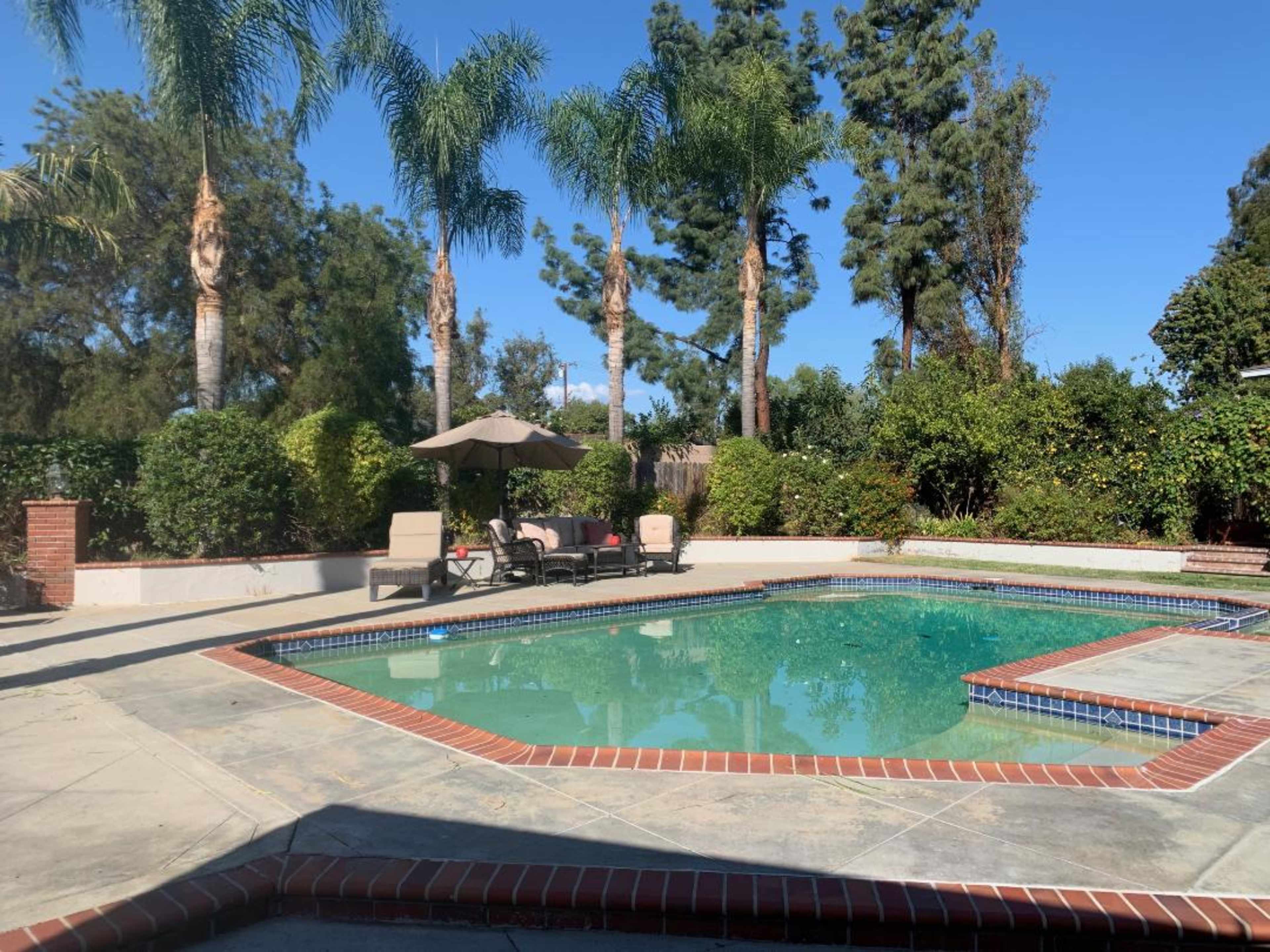 A vacant pool area features a square swimming pool surrounded by palm trees, lounge chairs, and an umbrella on a clear day.