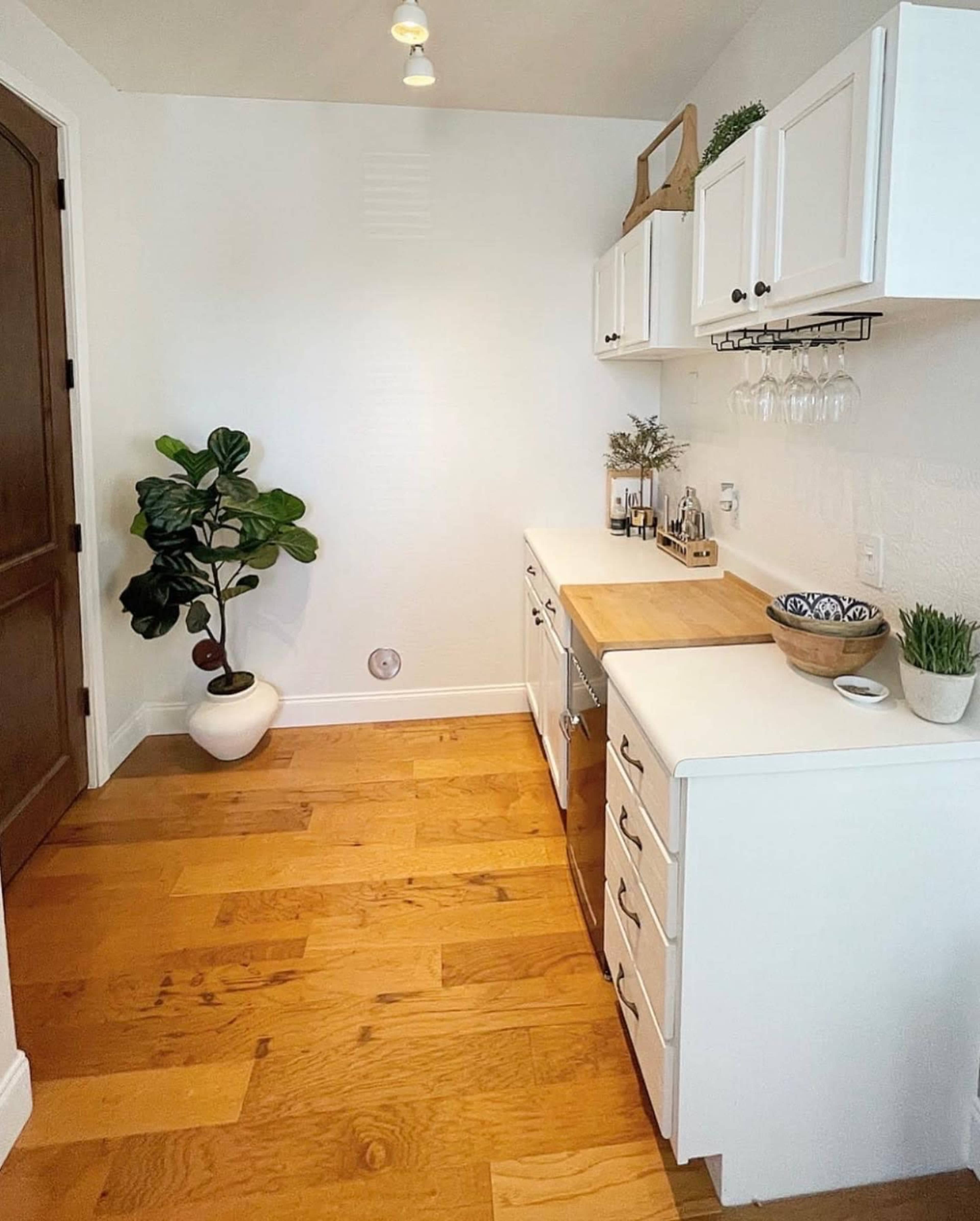 The image shows a kitchen area with white cabinetry, a wooden countertop, and a potted plant in a corner.