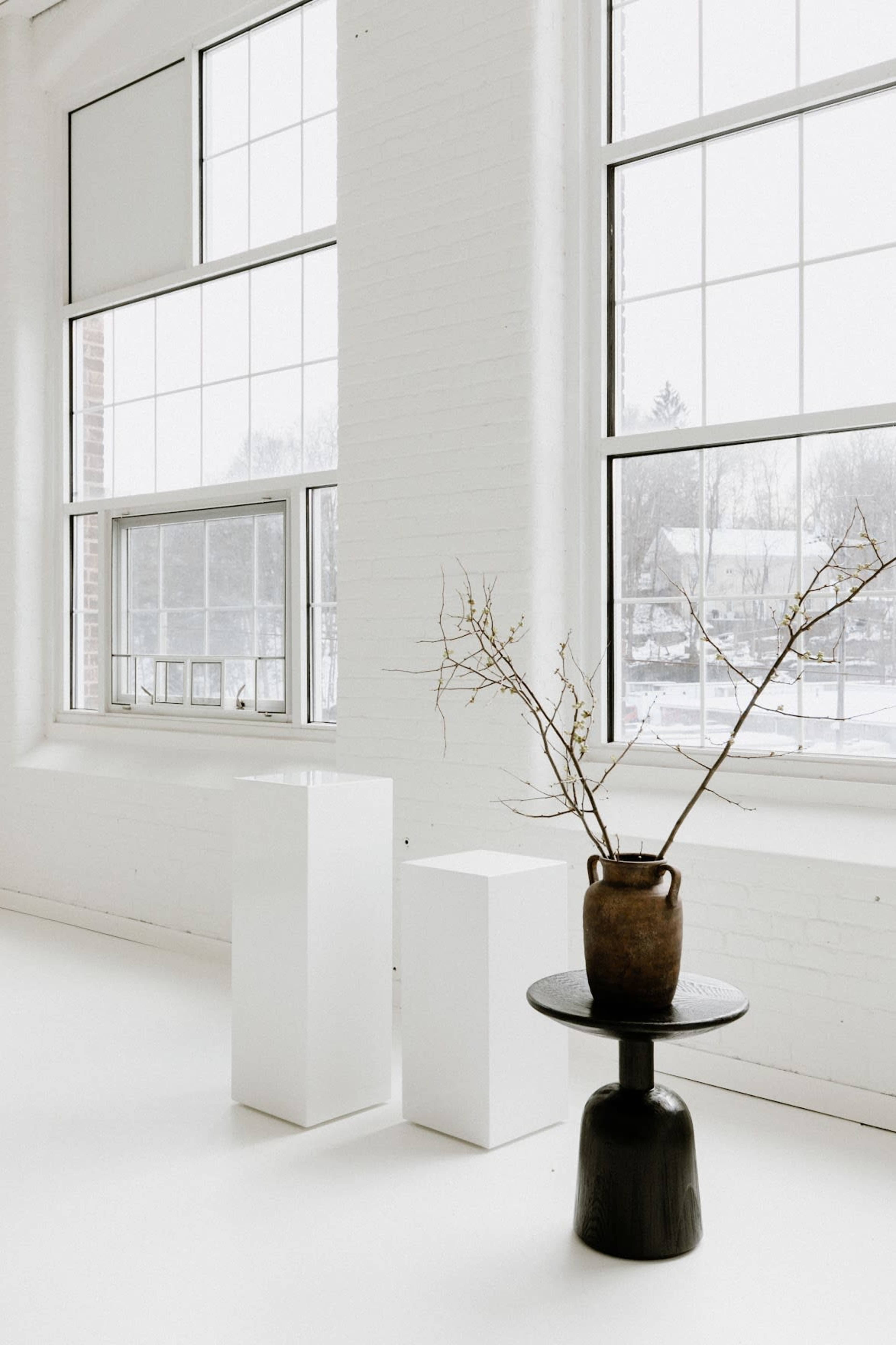 A minimalist interior with two white pedestals and a black table holding a brown vase with branches, set against large windows.