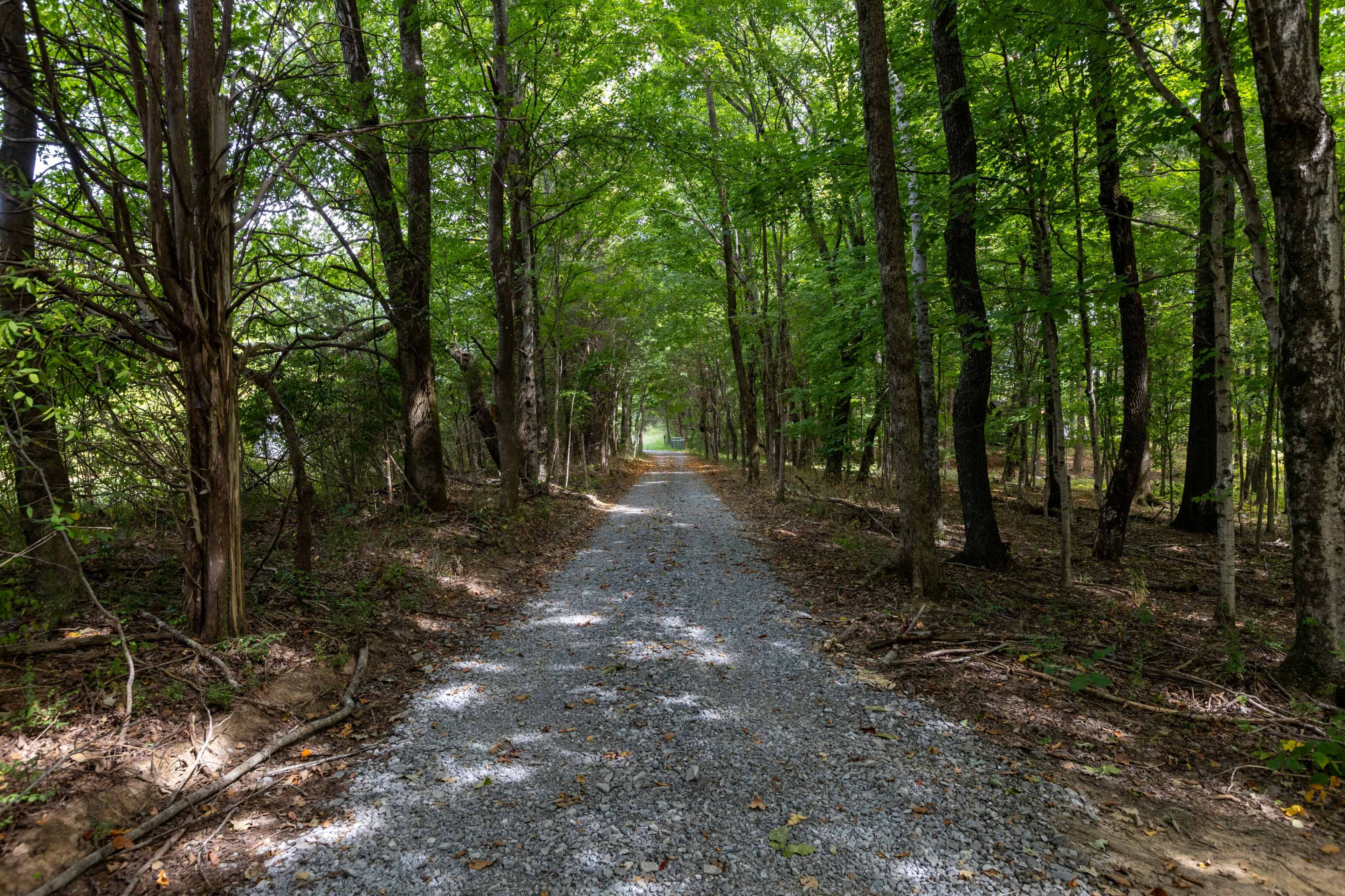 A gravel path winds through a dense forest with tall trees on either side.