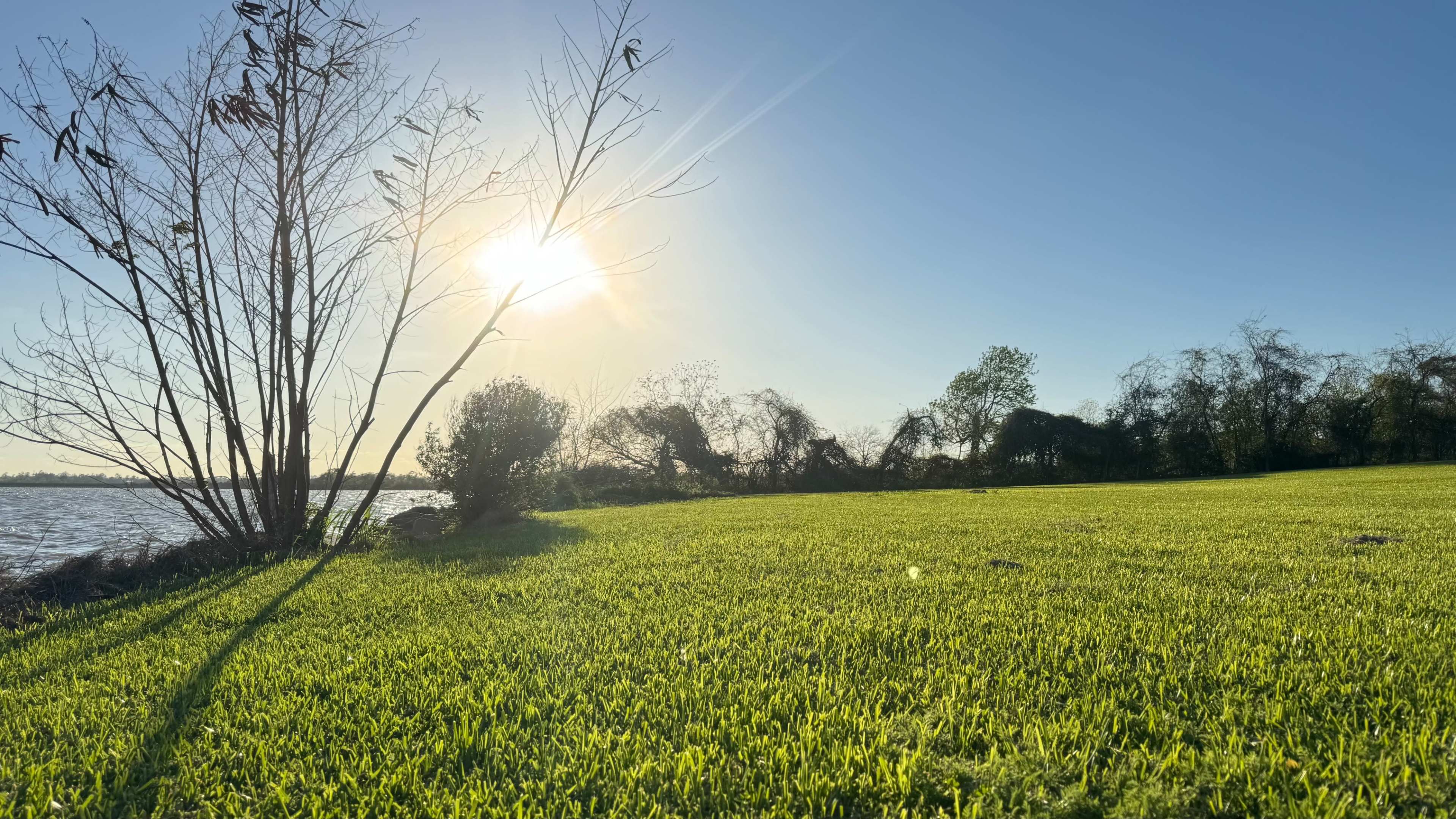 The image shows a grassy field by a body of water, with the sun shining brightly in the sky and a few trees in the background.