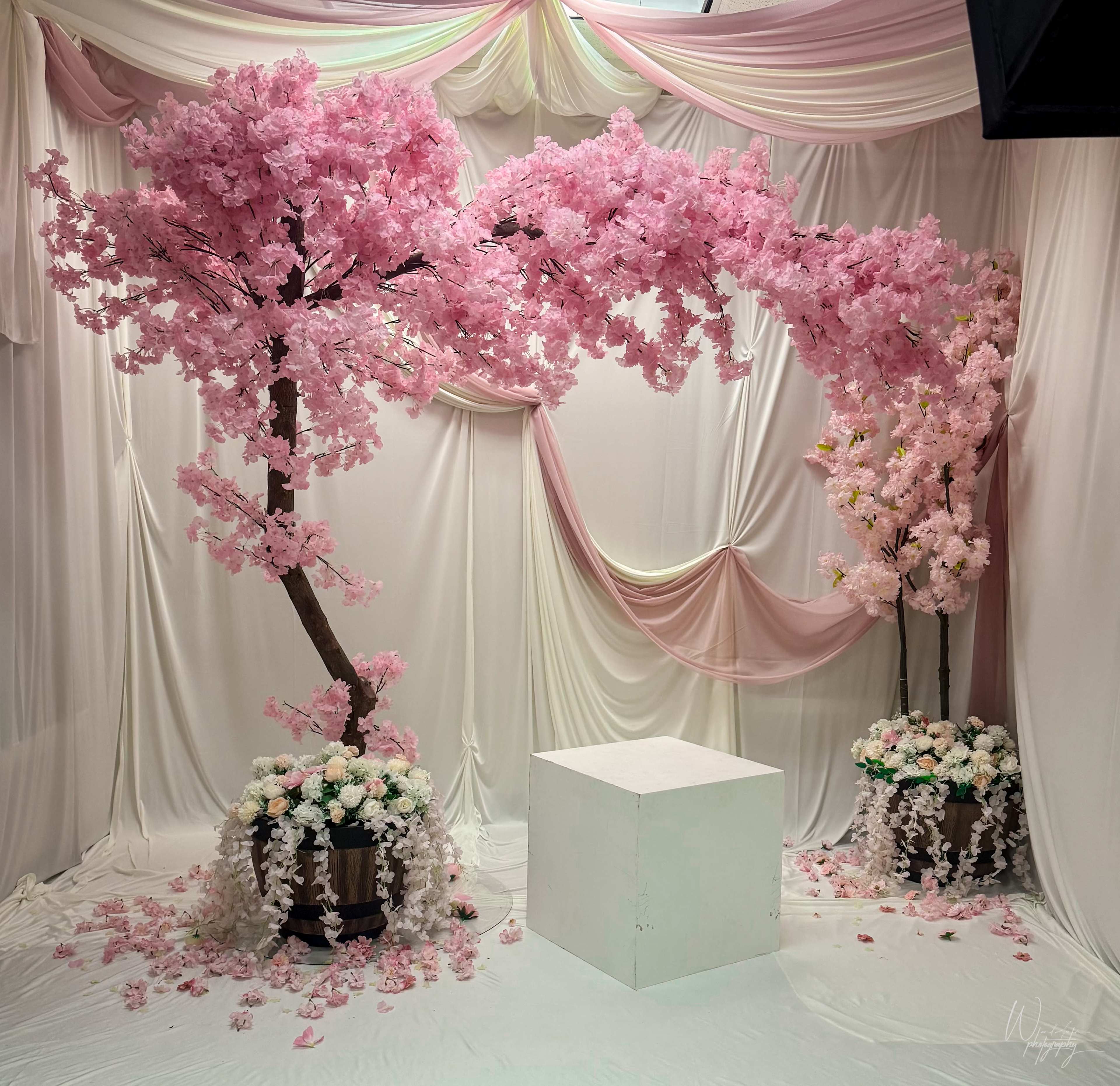 The scene features two artificial cherry blossom trees flanking a white pedestal, set against a backdrop of draped fabric in a studio space.