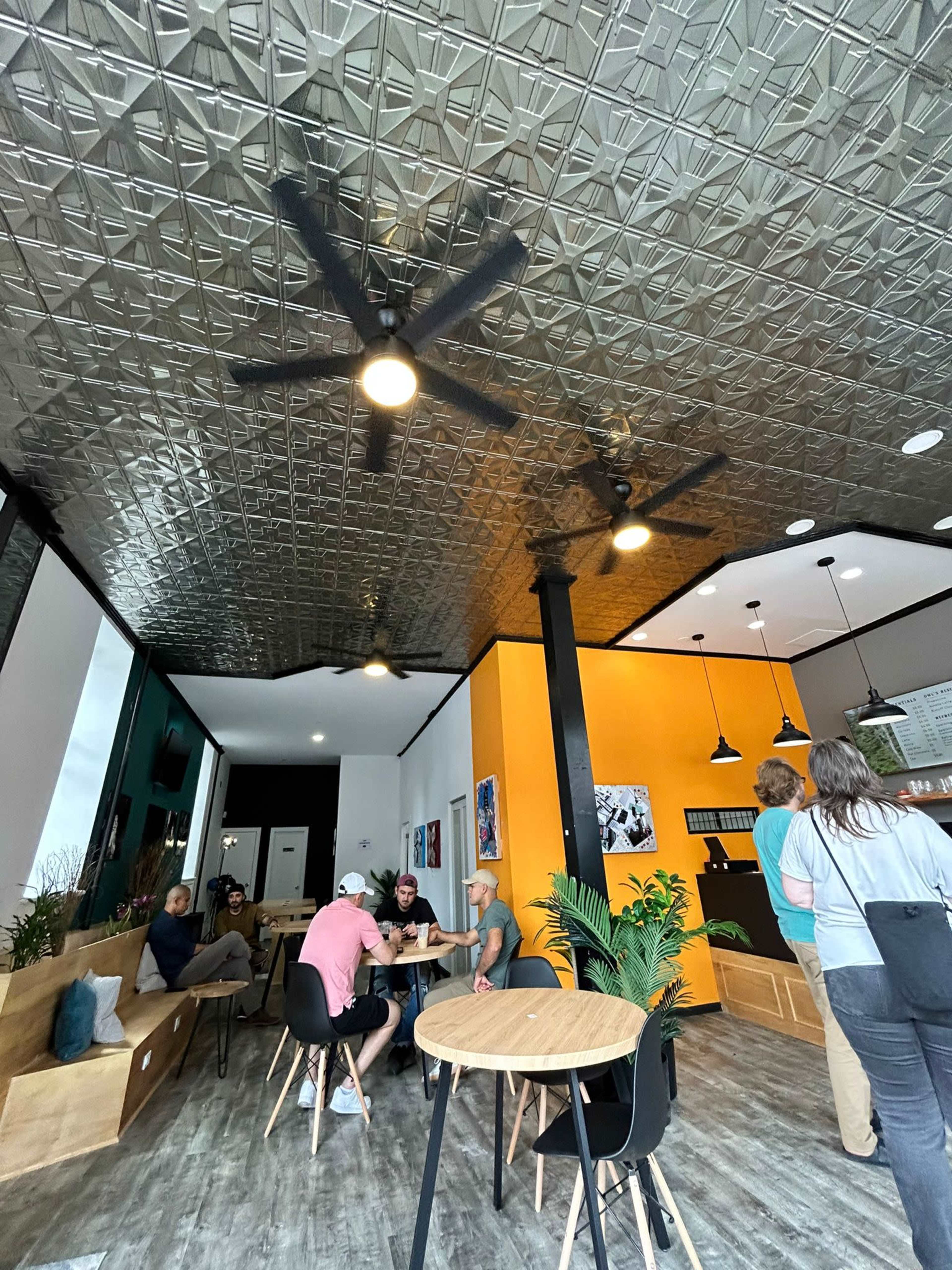 Events Image in Greenpoint, Brooklyn, NY