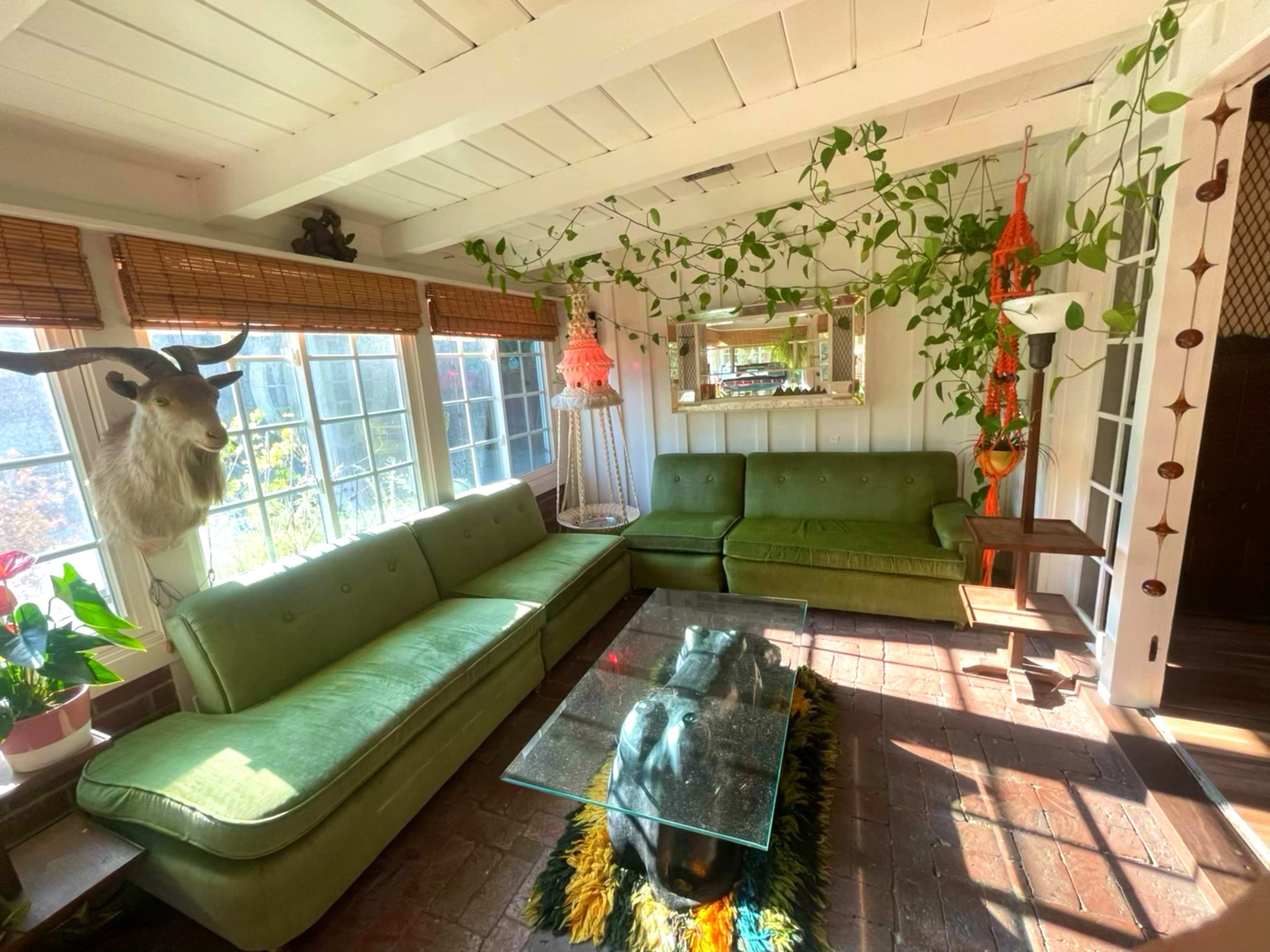 The room features two green sofas, a glass coffee table, and large windows surrounded by indoor plants.
