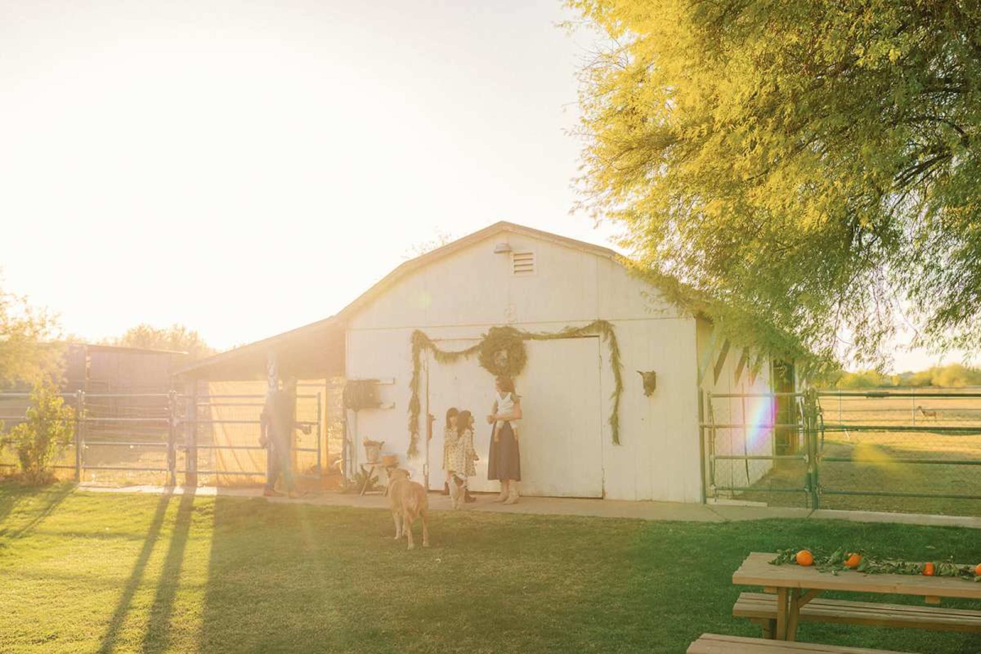 A family stands outside a barn during sunset, with a dog nearby and pumpkins on the ground.