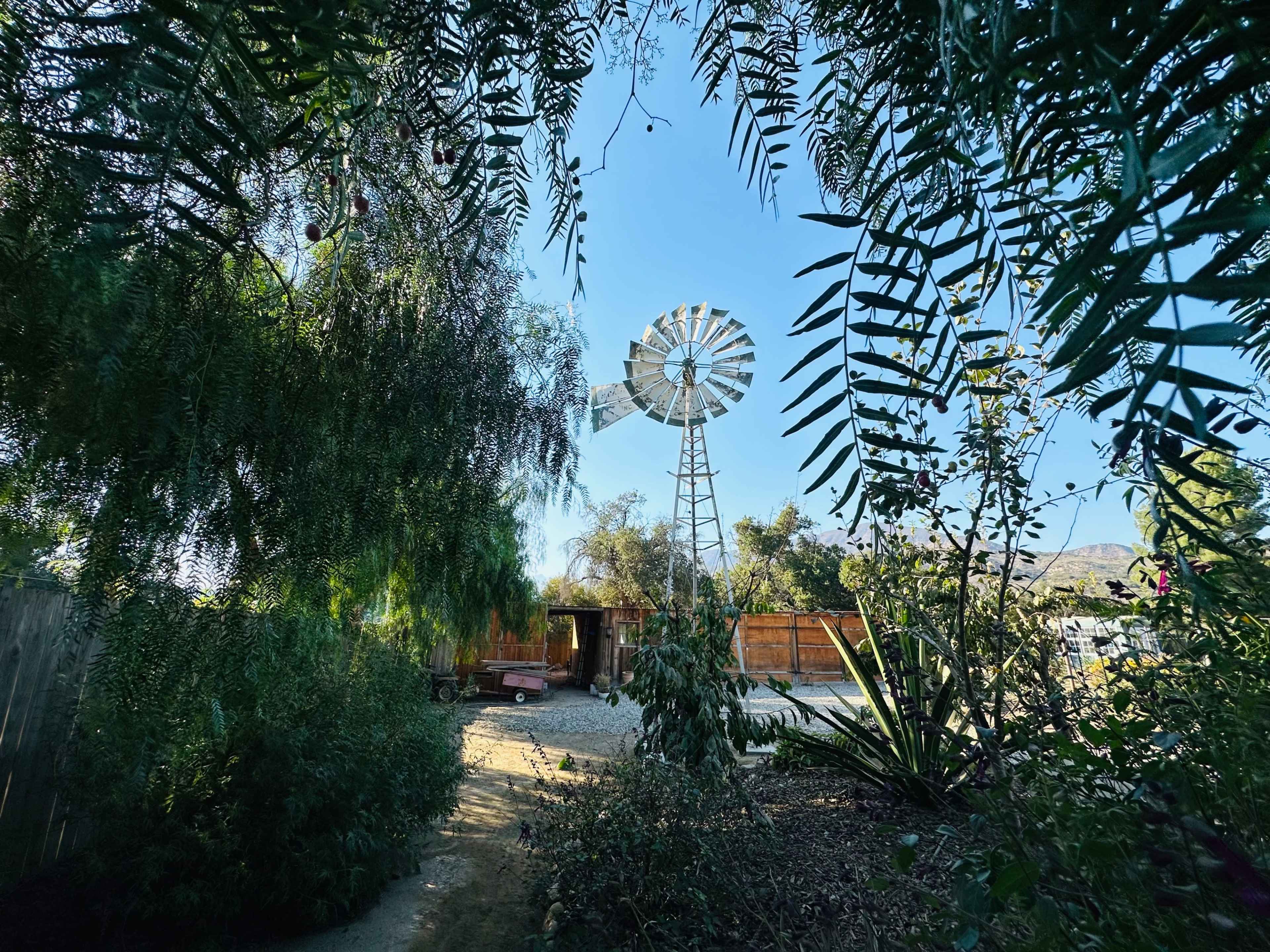 A windmill stands in a garden surrounded by various plants and trees under a clear blue sky.
