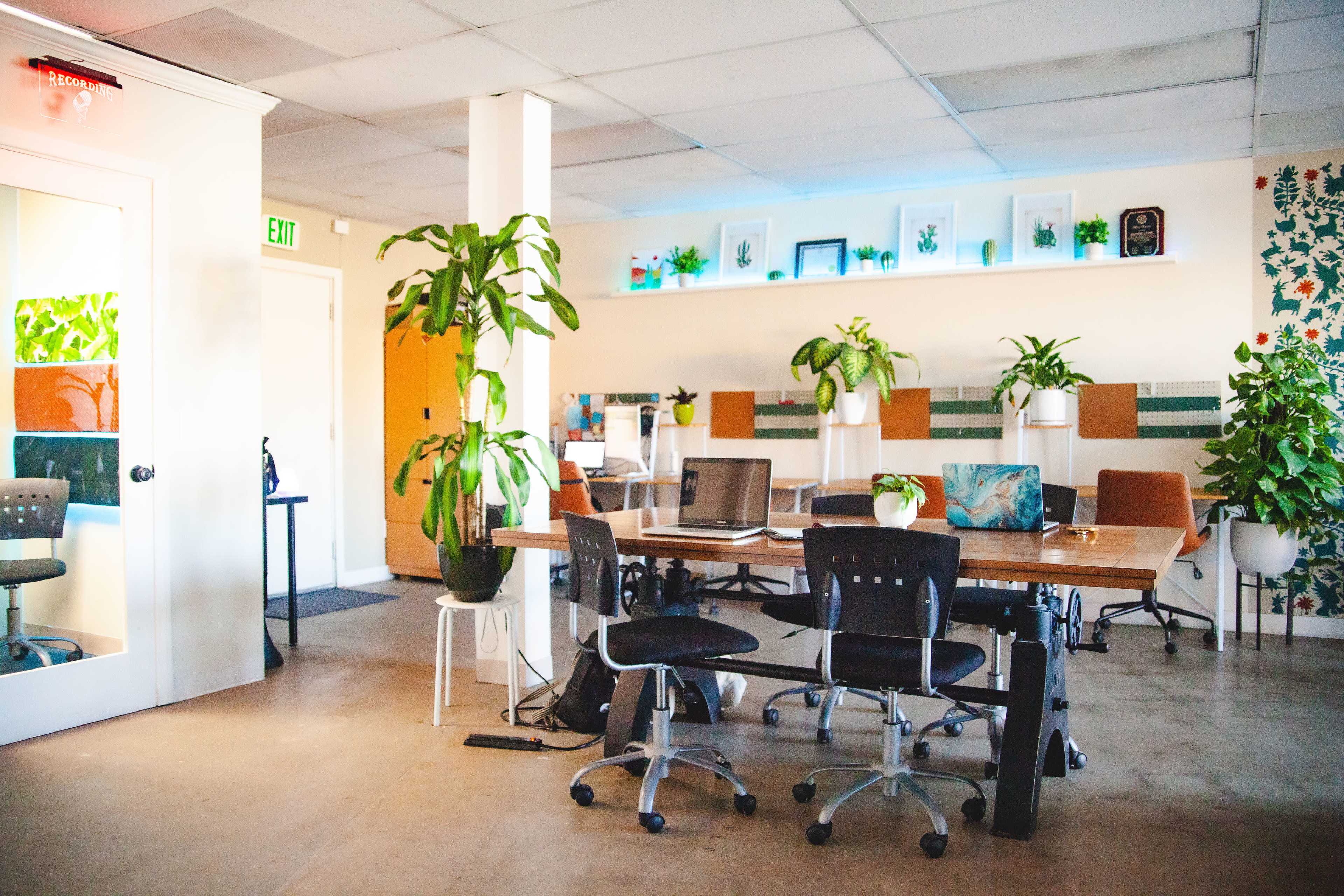 The image shows a modern office space with a large wooden table, black chairs, and several plants throughout the room.