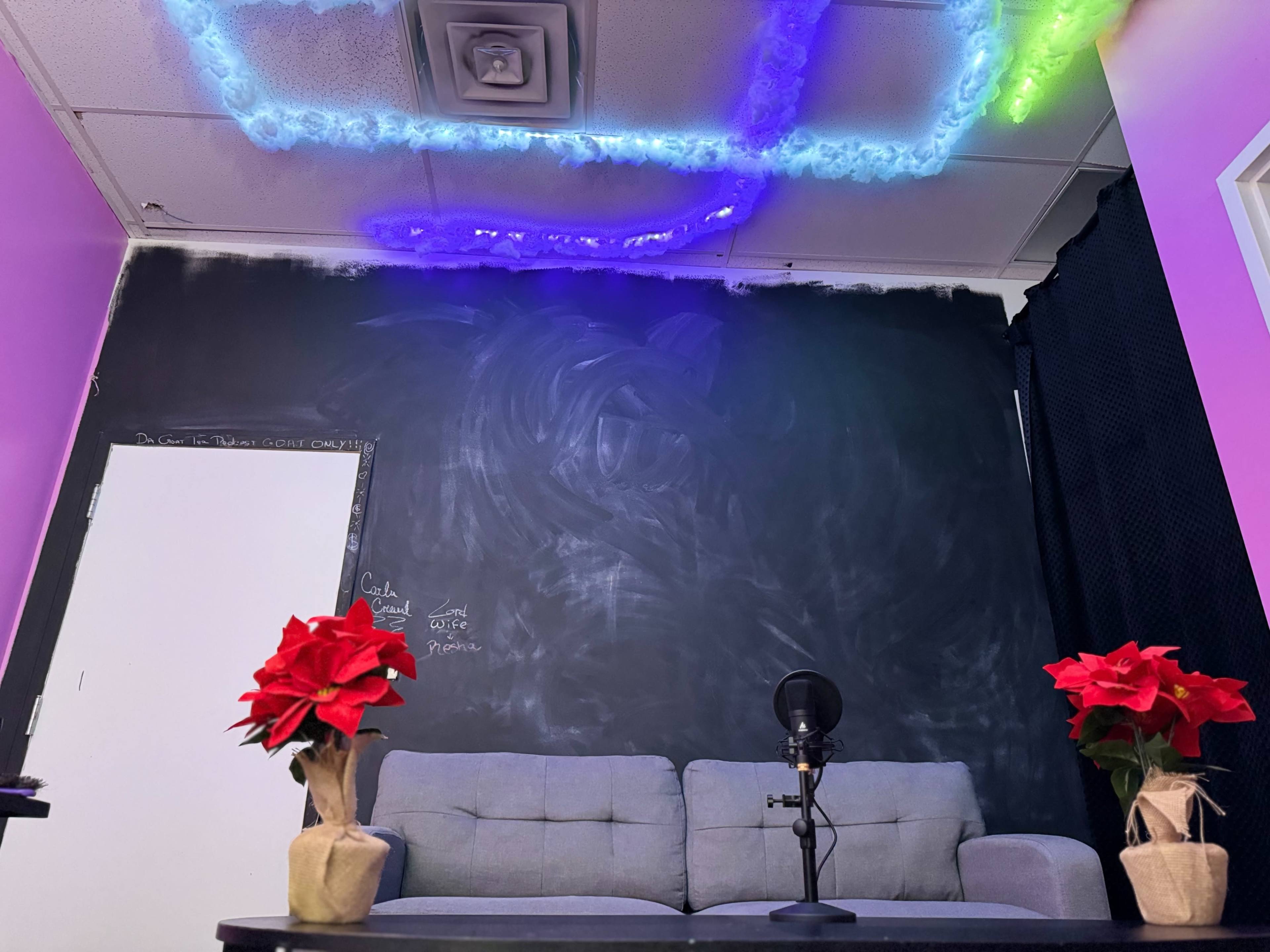 A room features a gray couch with a microphone on a table, and two potted flowers, against a dark wall with colorful lights at the ceiling.
