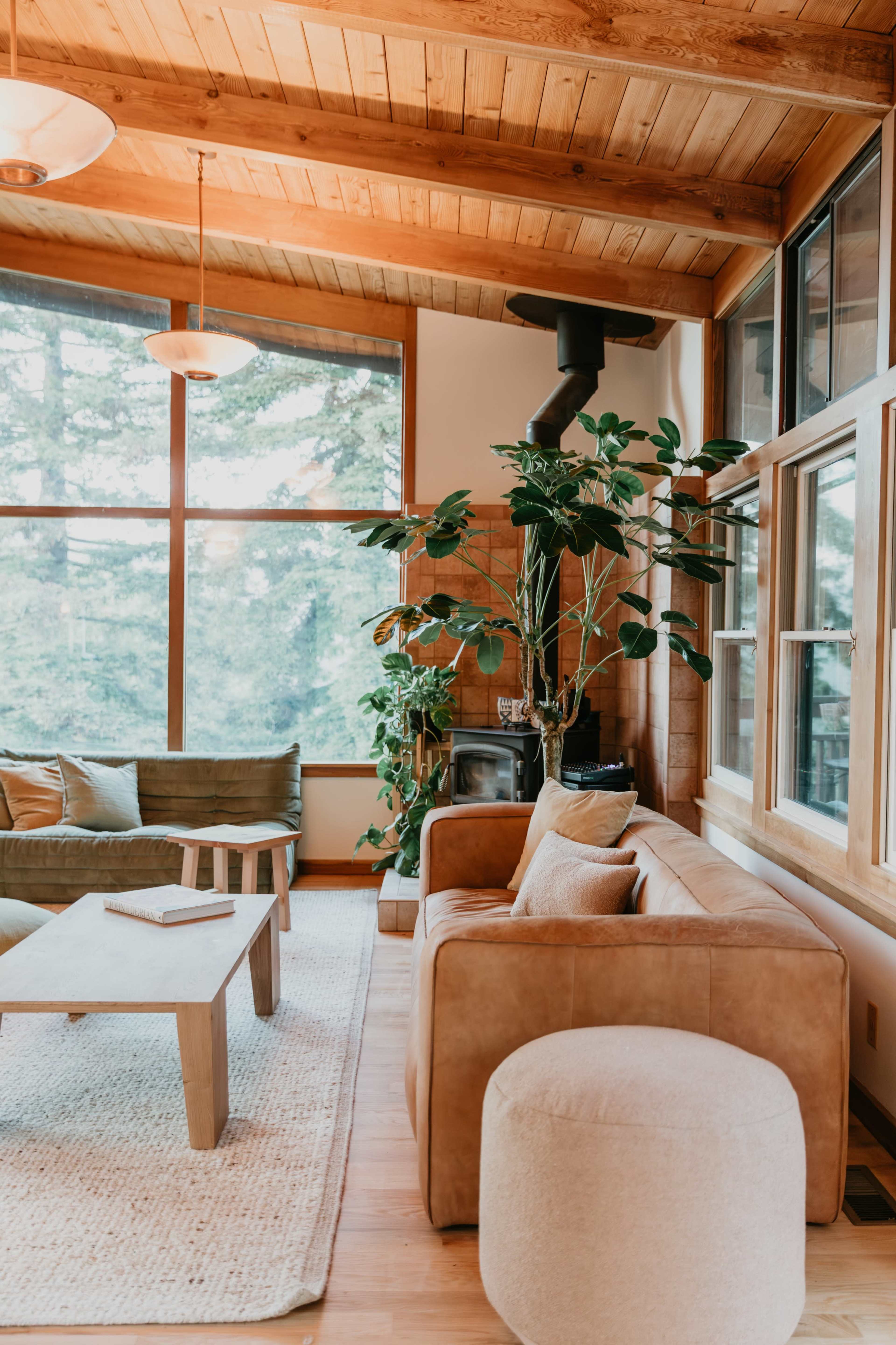 Film/Photo location - Berkeley Hills Retreat with Tilden Park View Image in , Berkeley, CA