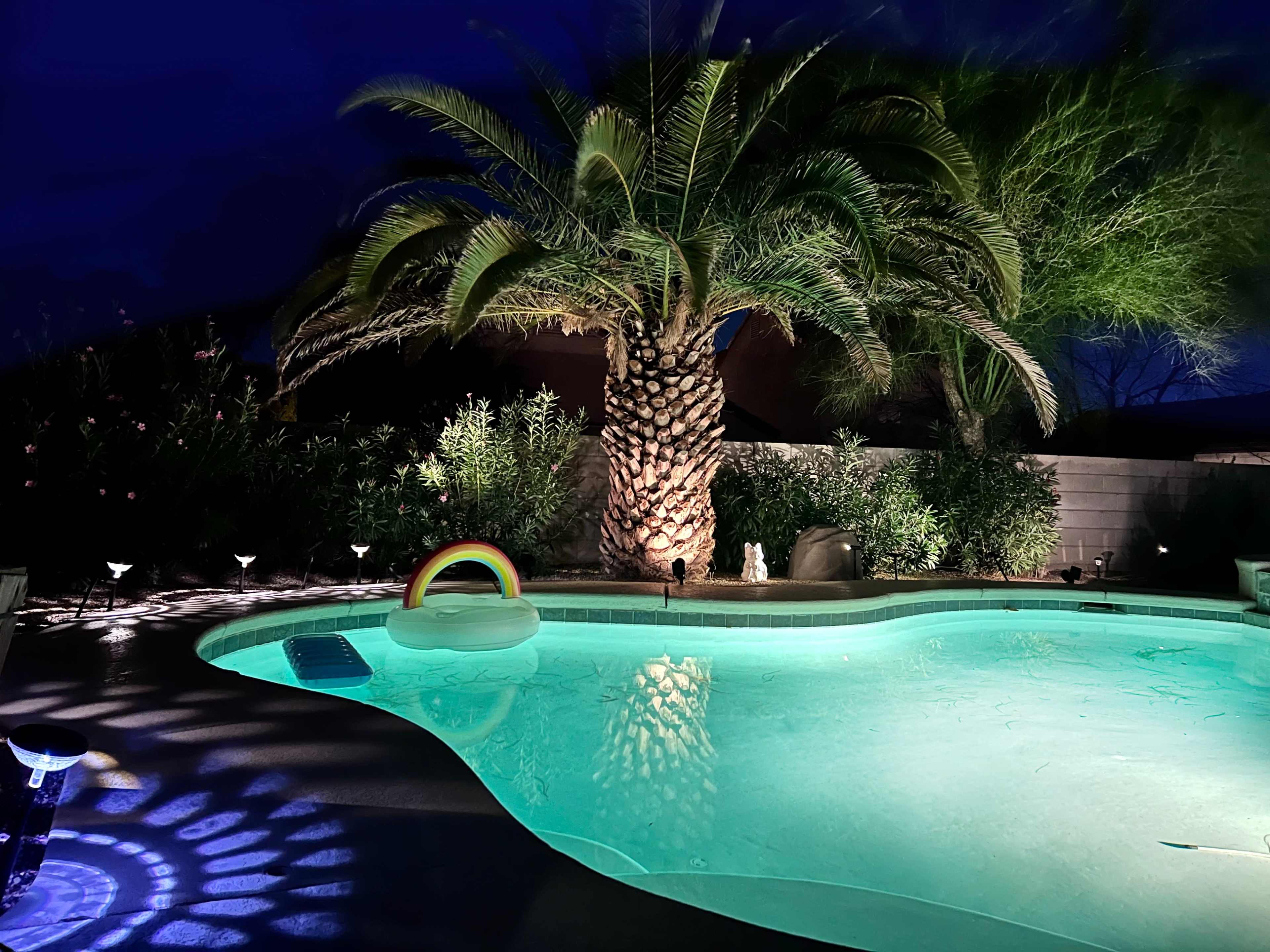 A swimming pool is illuminated by landscape lighting, featuring a palm tree and a rainbow float in the water, surrounded by lush vegetation at night.