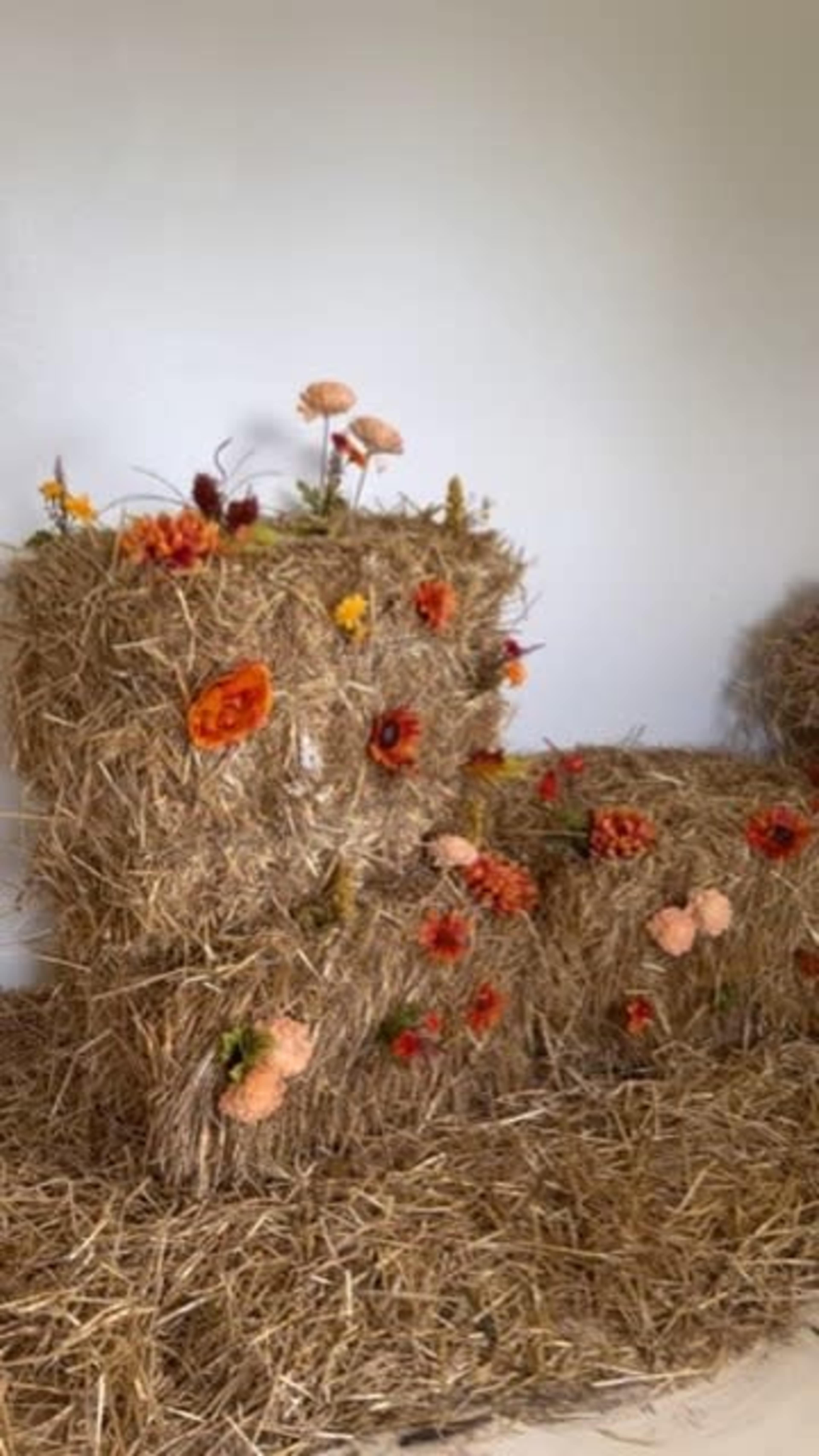 The Woodlands Studio Room - The Coastal Image in , Conroe, TX