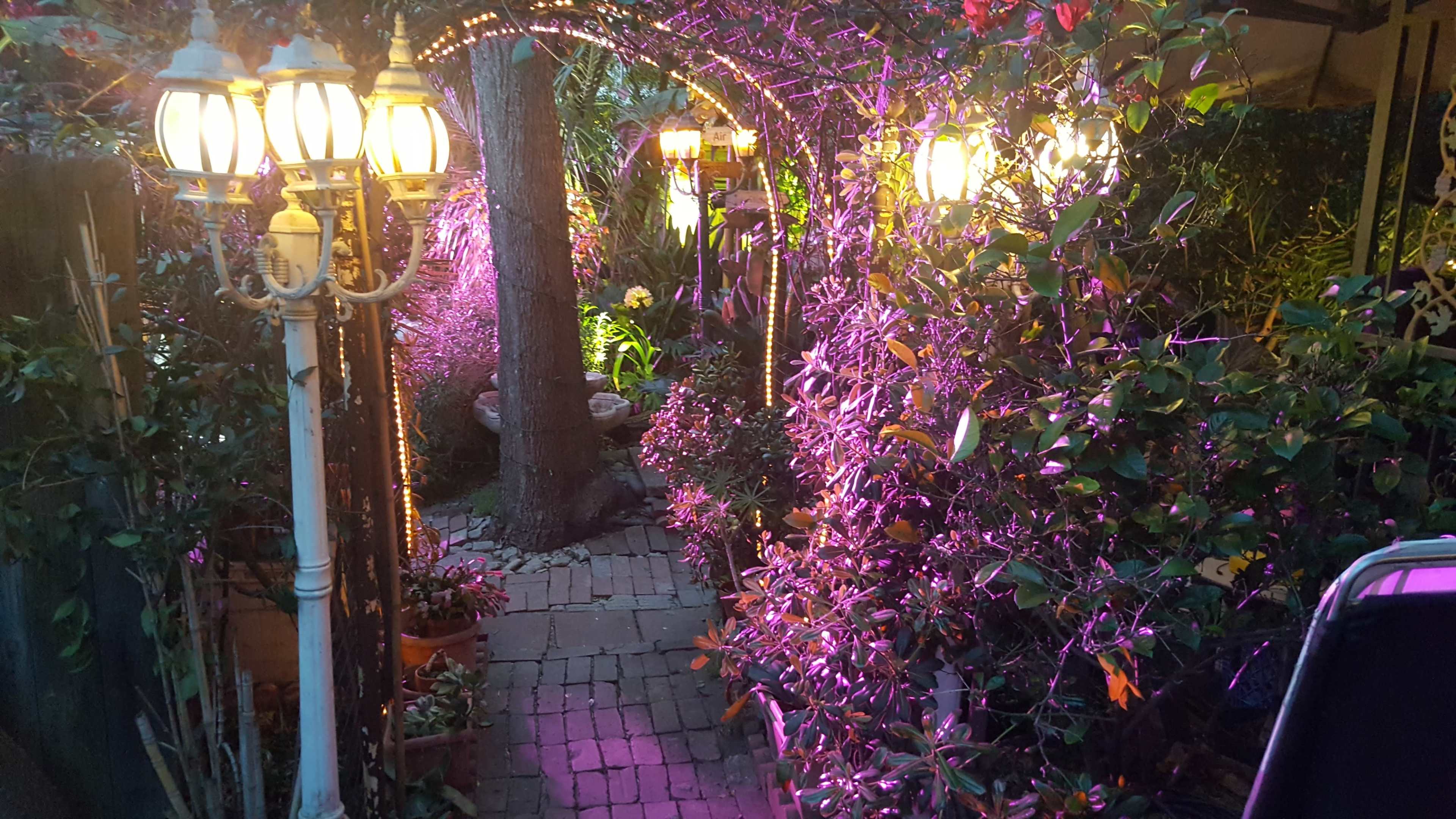 Enchanted Rainforest w/ Boho Charm & Zen Vibes Image in Los Feliz, Los Feliz, CA