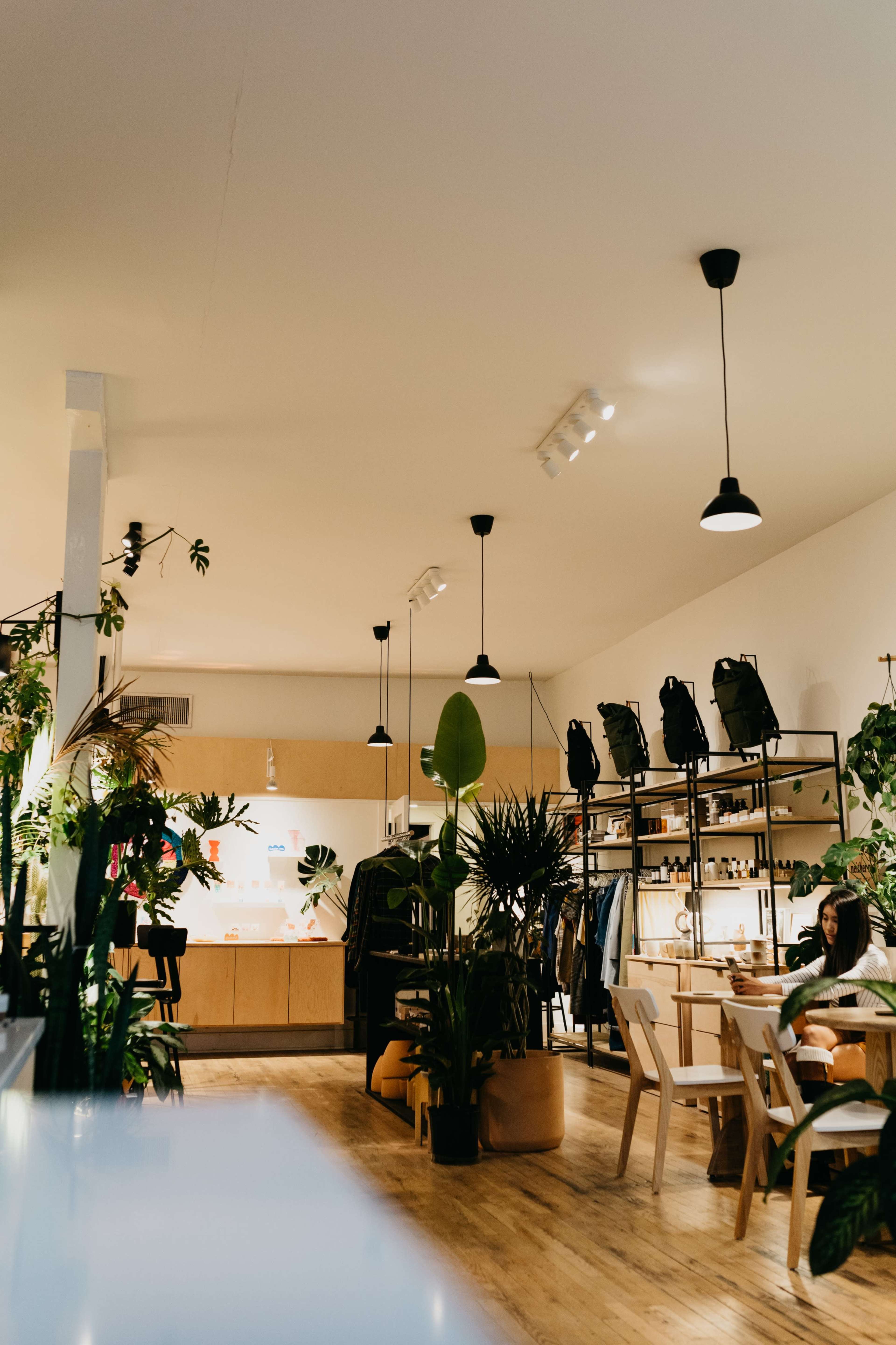 The image shows a modern cafe interior filled with plants, featuring wooden flooring, pendant lighting, and a seating area with tables and chairs.