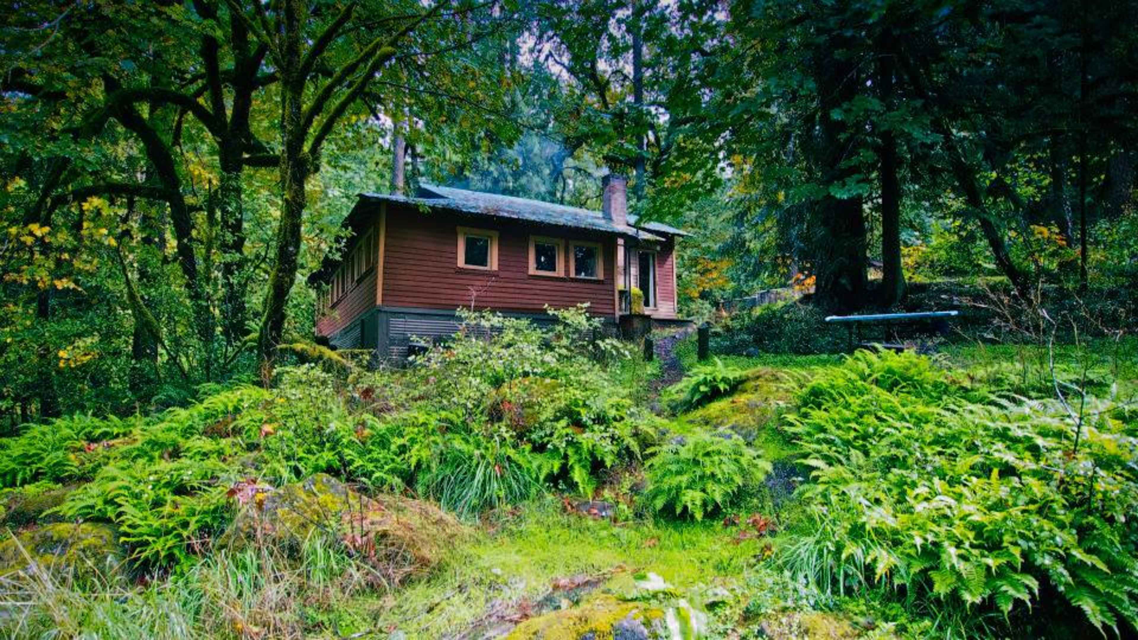 A brown cottage is nestled among lush green foliage in a forested area.
