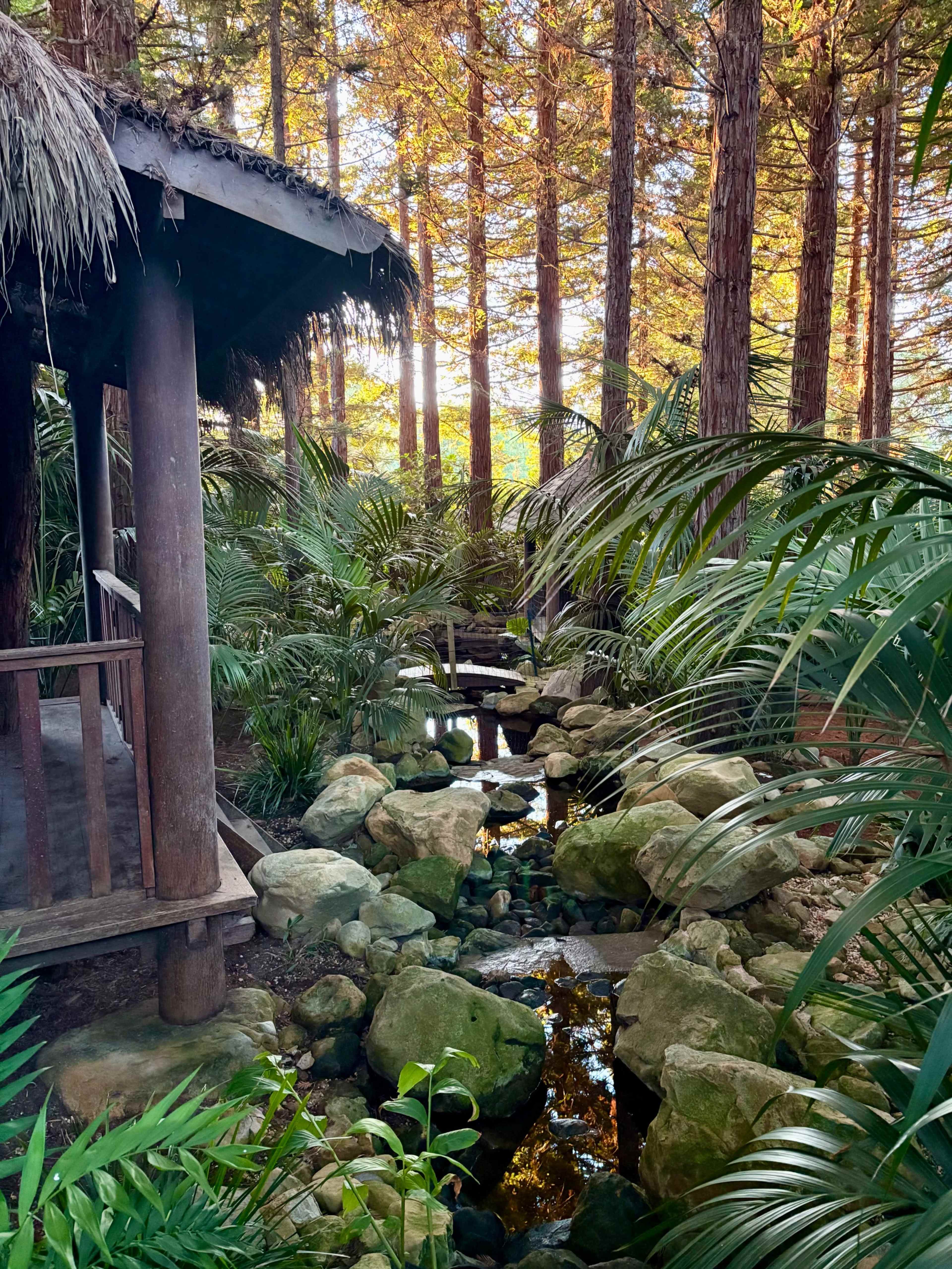 Lush Bali-Inspired Garden in a Redwood Grove Image in Montecito, Santa Barbara, CA