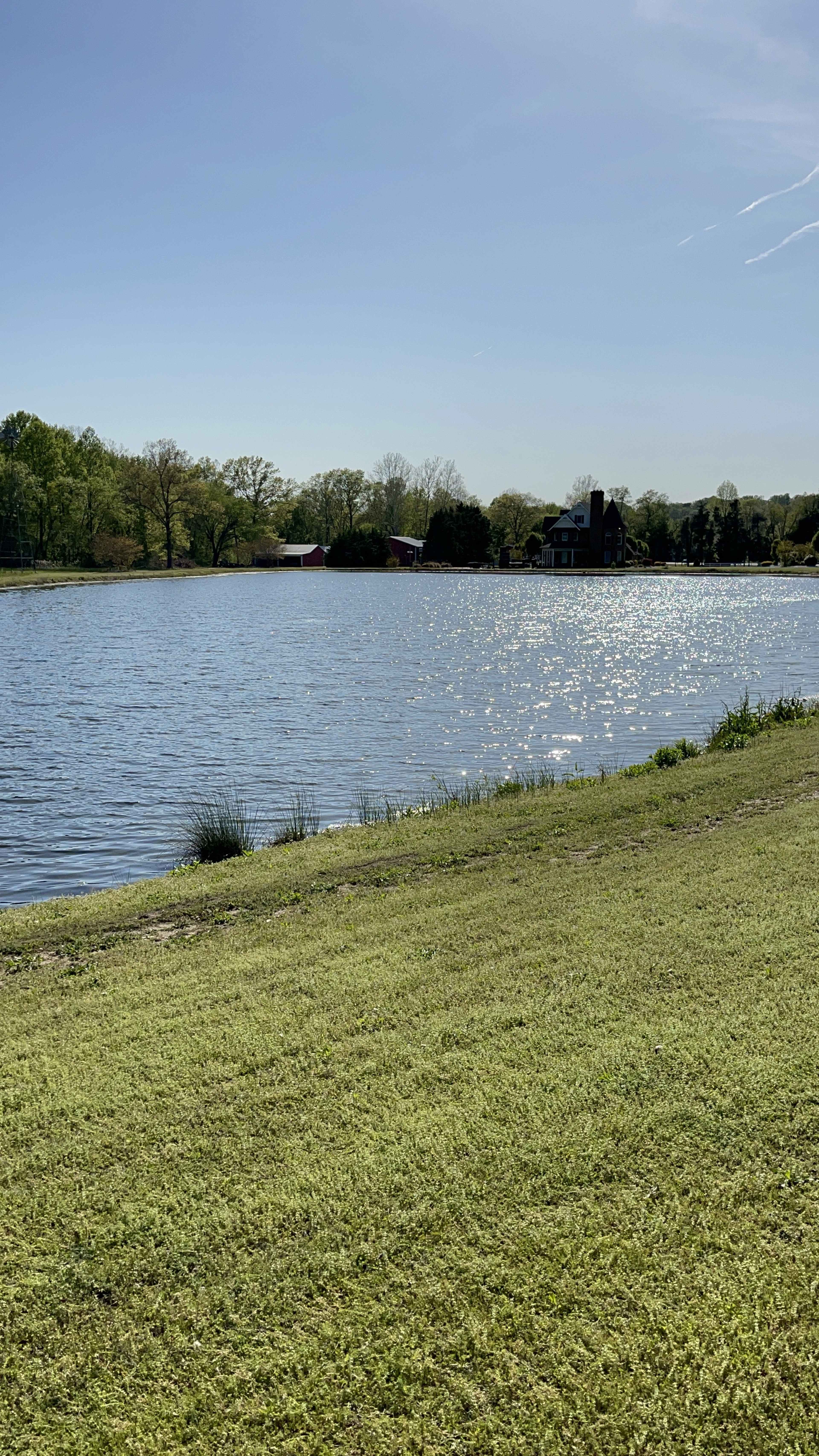 A calm lake reflects sunlight, bordered by grassy land and a house in the background.