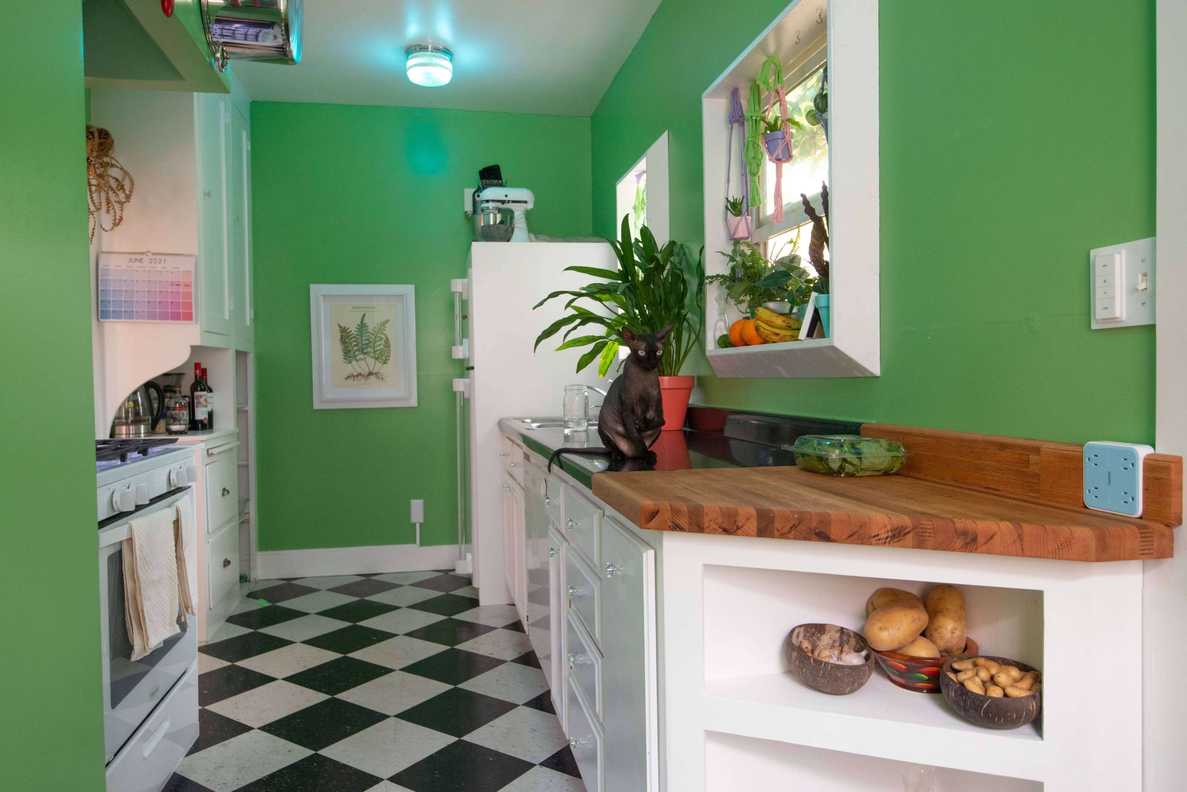 A green kitchen with a checkered black and white floor, featuring a white refrigerator, a wooden countertop, and plants on the windowsill.