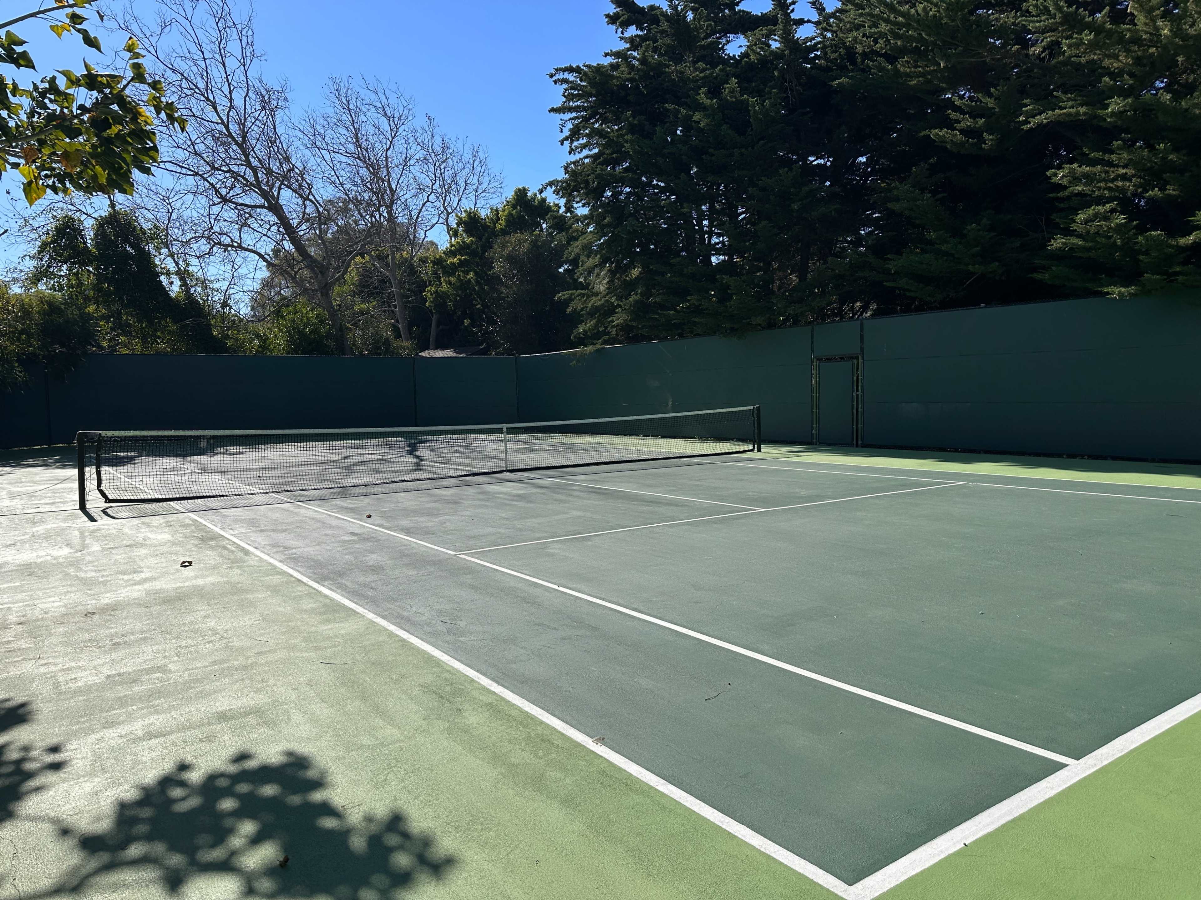 The image shows a tennis court with green surfaces and a net in the middle, surrounded by greenery and a clear blue sky.