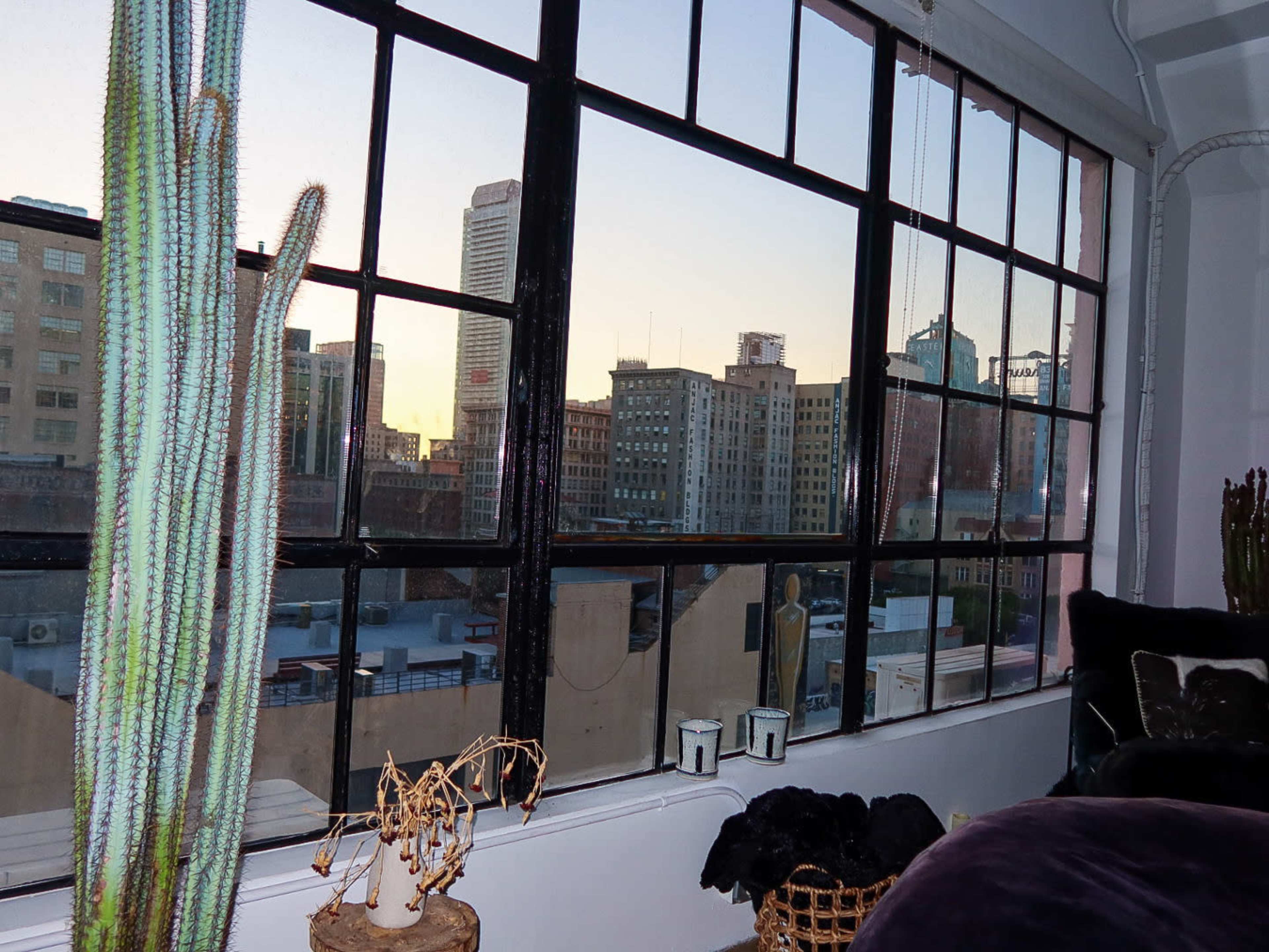 The image shows a city skyline viewed through large windows, featuring buildings and a cactus plant in the foreground.