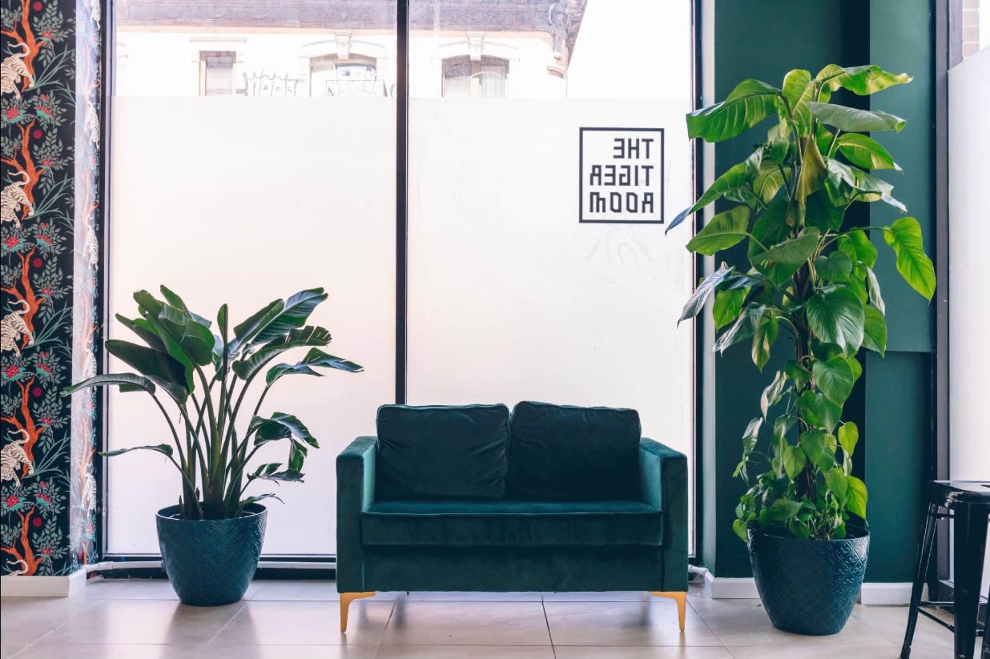 A green velvet sofa is positioned between two large potted plants in a bright room with large windows.