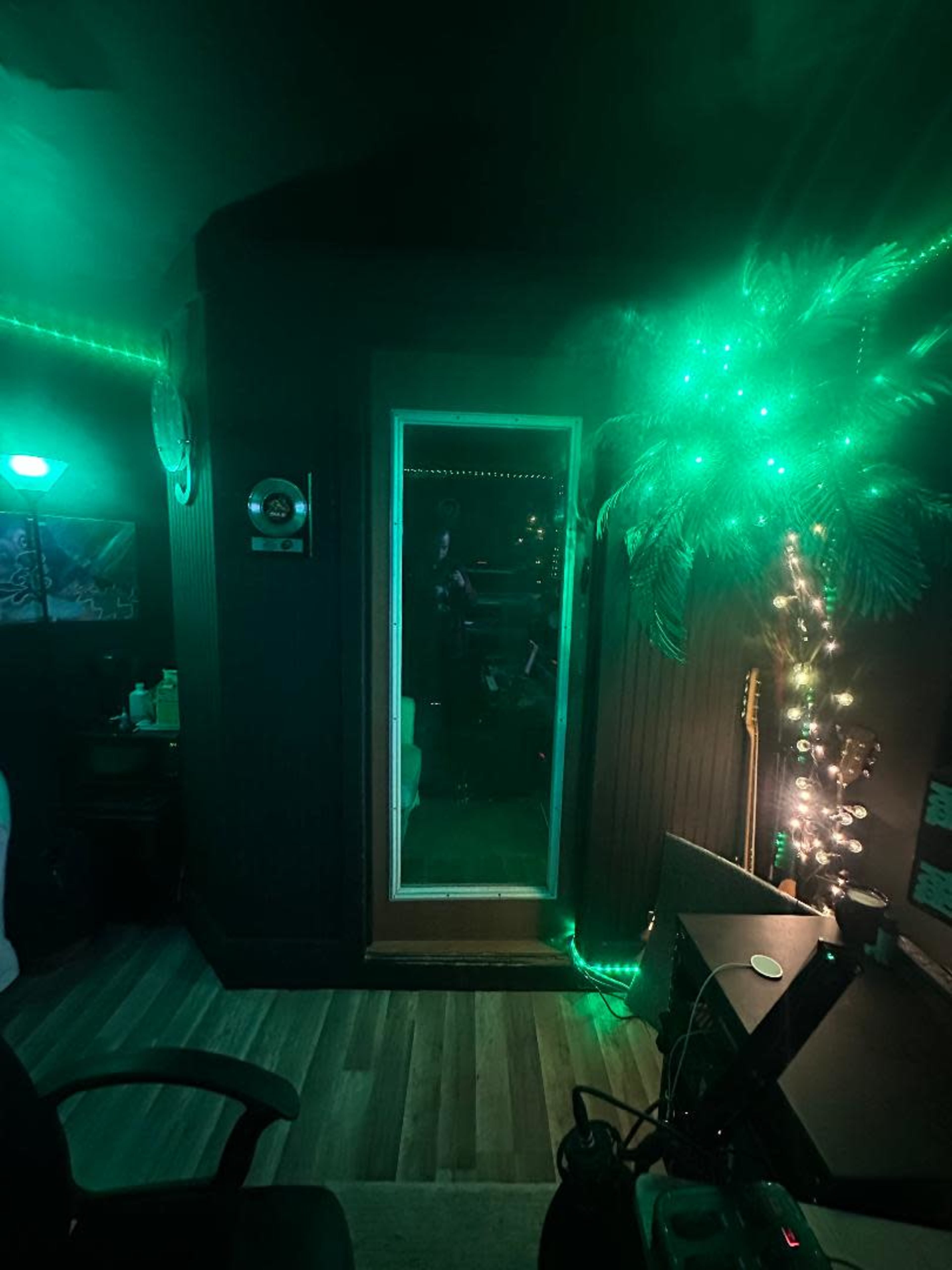 The image shows a dimly lit room with a door framed by green lights and decorated with a palm-like plant and musical instruments.
