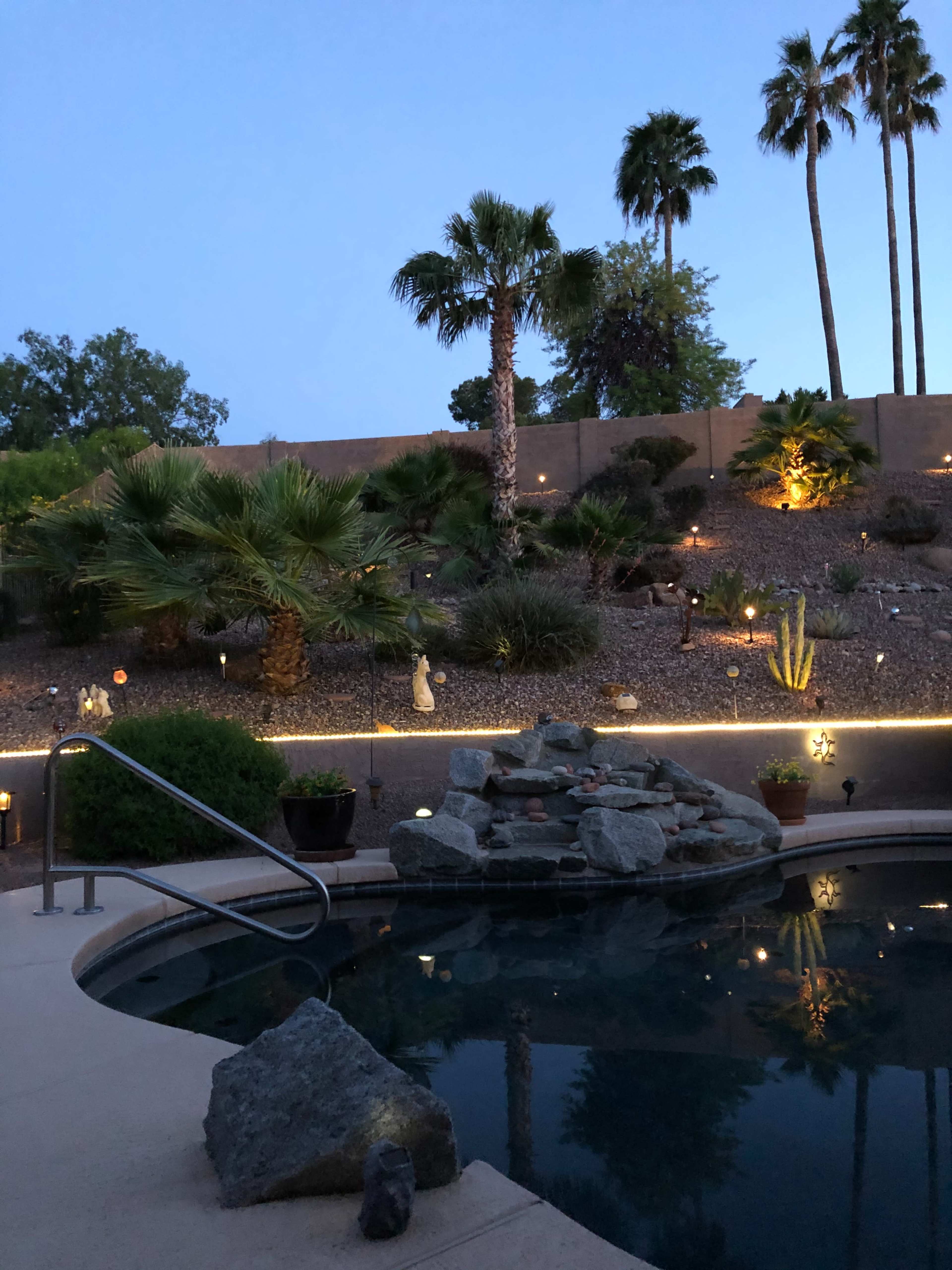The scene depicts a tranquil backyard swimming pool surrounded by palm trees and landscaped rocks, illuminated by lights along a sloped garden.