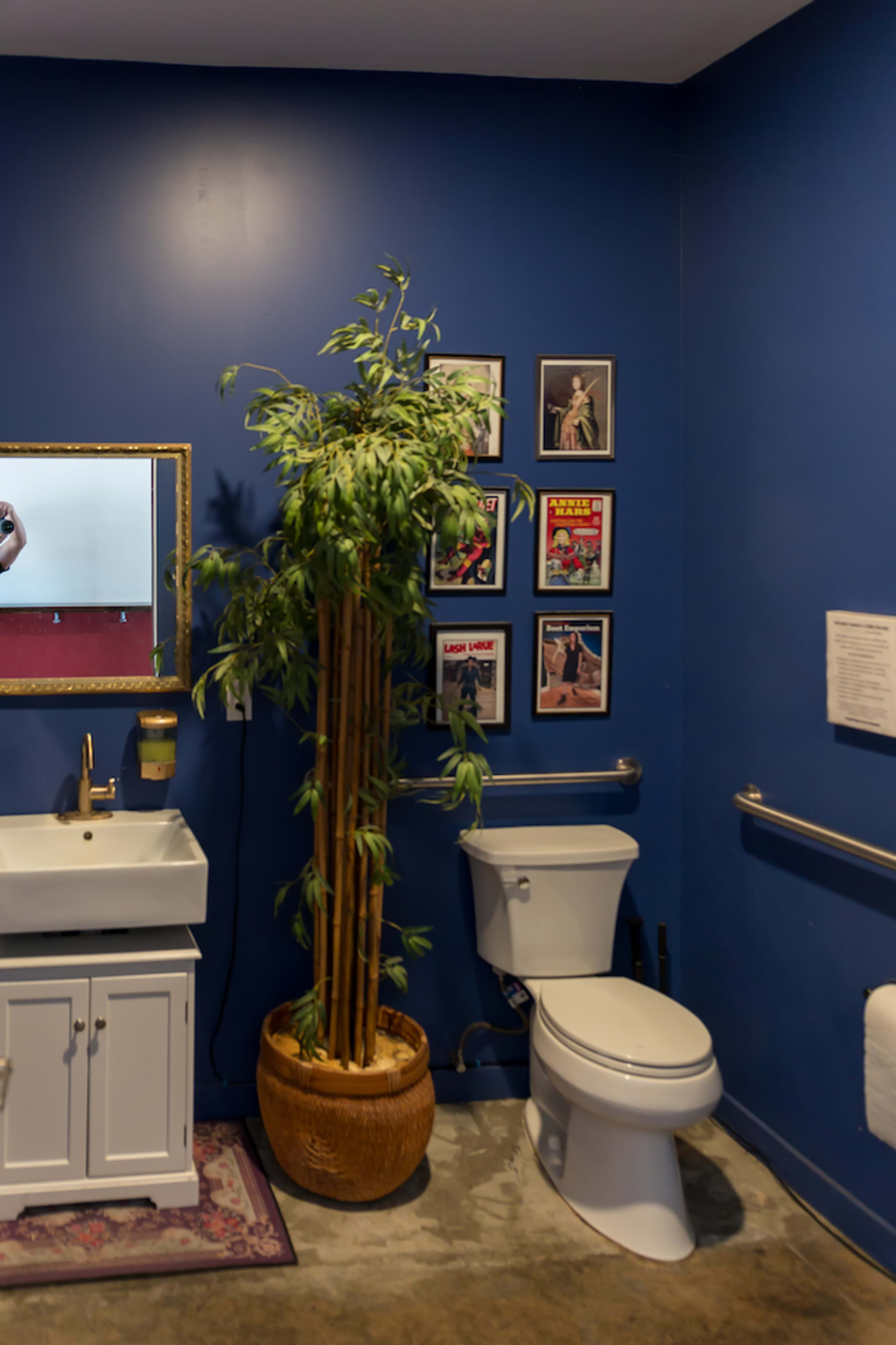 A bathroom features a white toilet, a sink with a mirror, and a tall plant next to framed pictures on a blue wall.