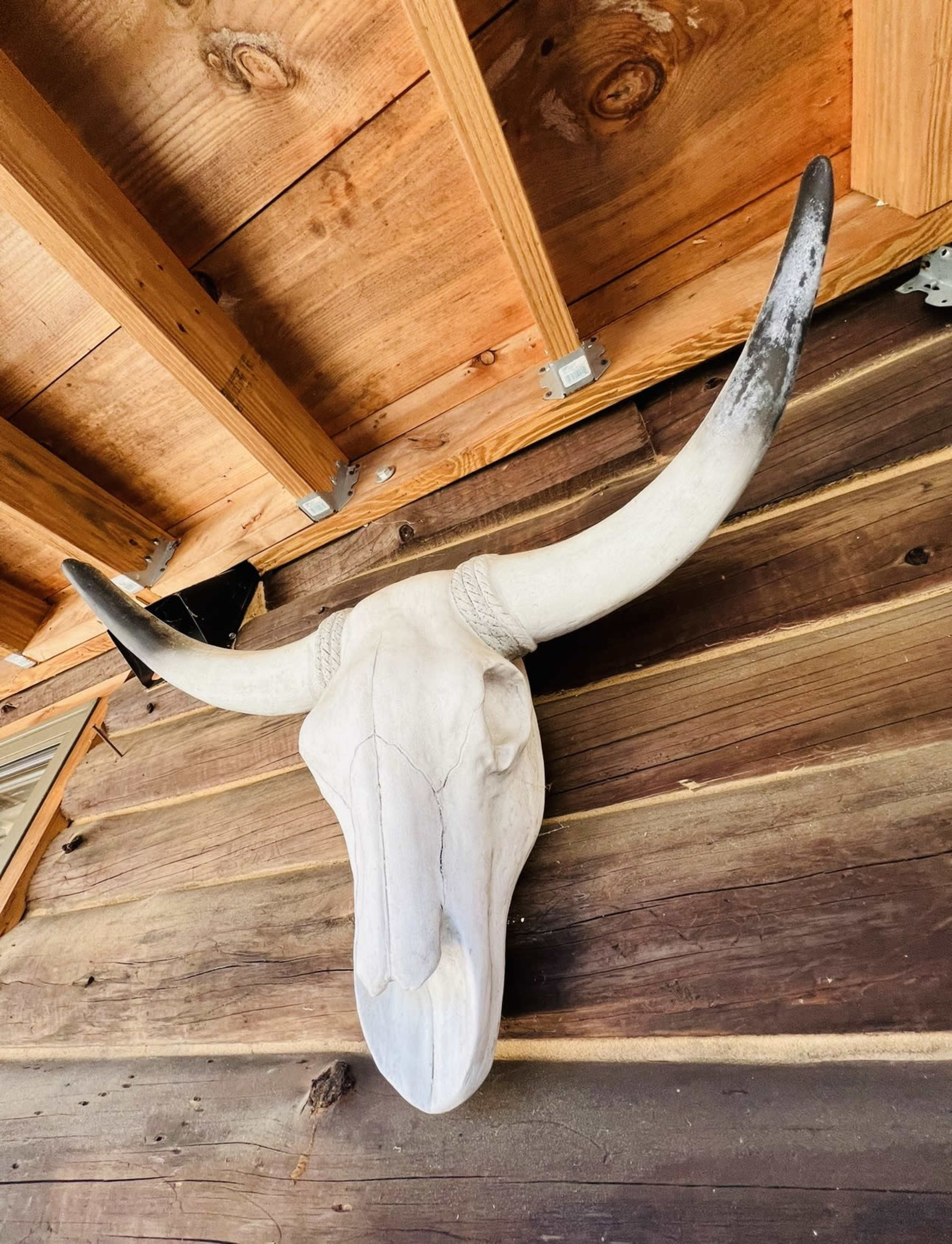 Unique Modern Cabin in the Catskills Image in Ashland, Ashland, NY