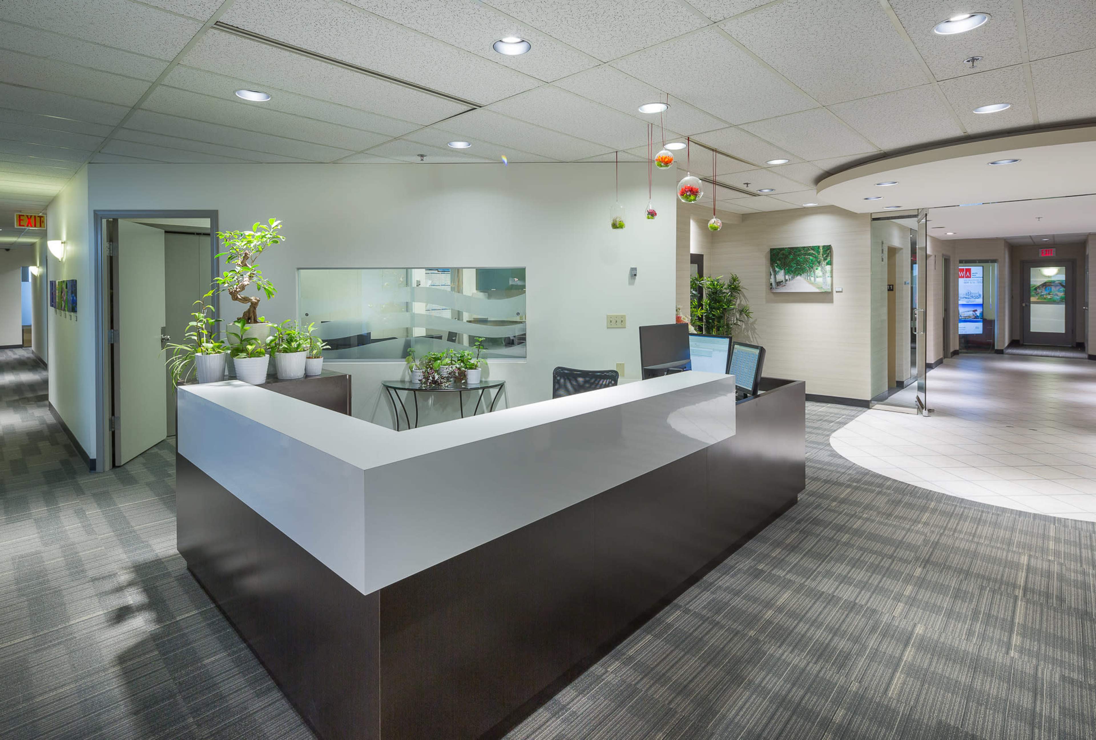 The image shows a modern reception area featuring a white and dark wood front desk with plants, and a corridor leading to office spaces.
