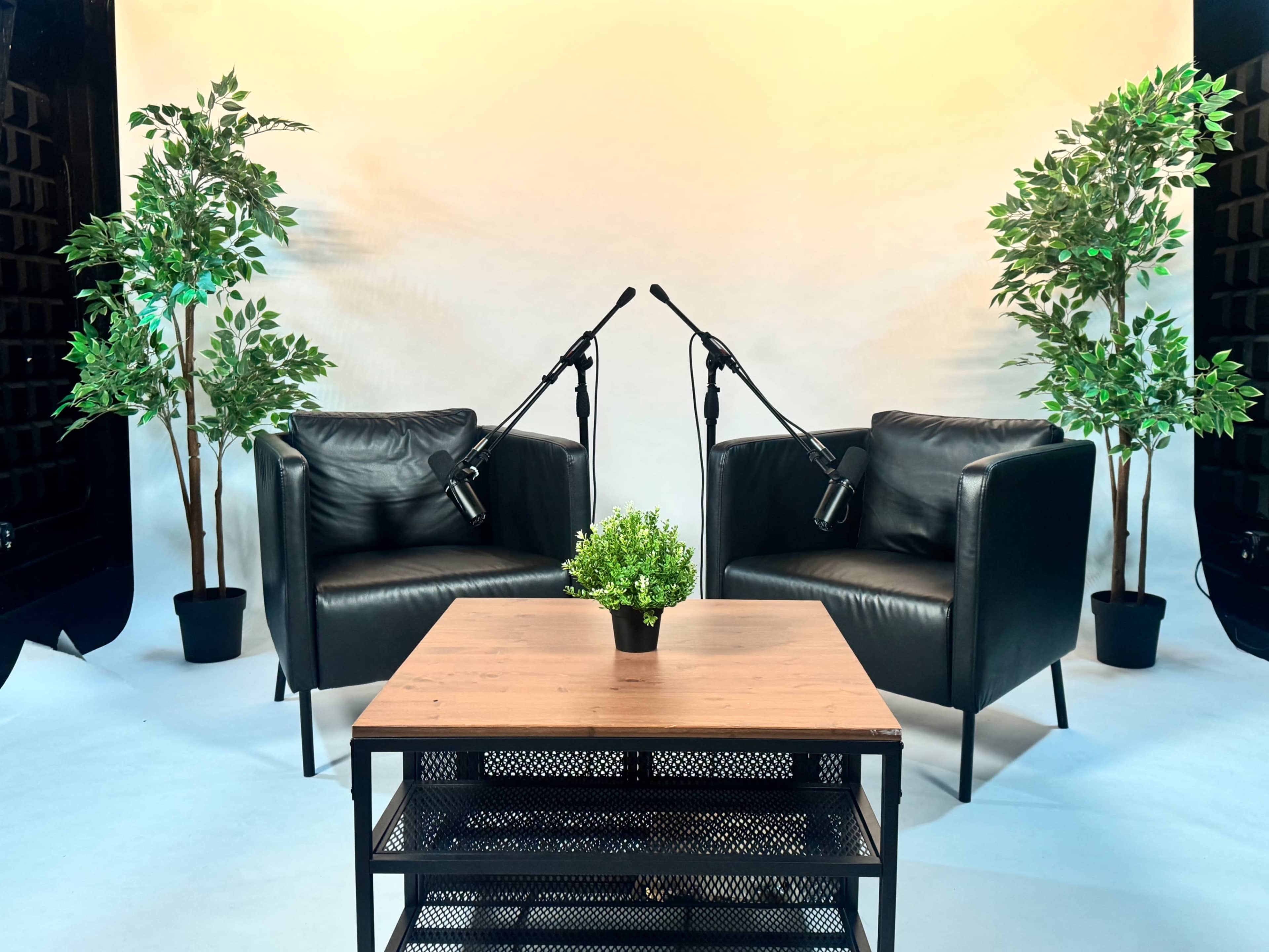 The image shows two black leather chairs facing each other, separated by a small table with a potted plant, set against a light backdrop.