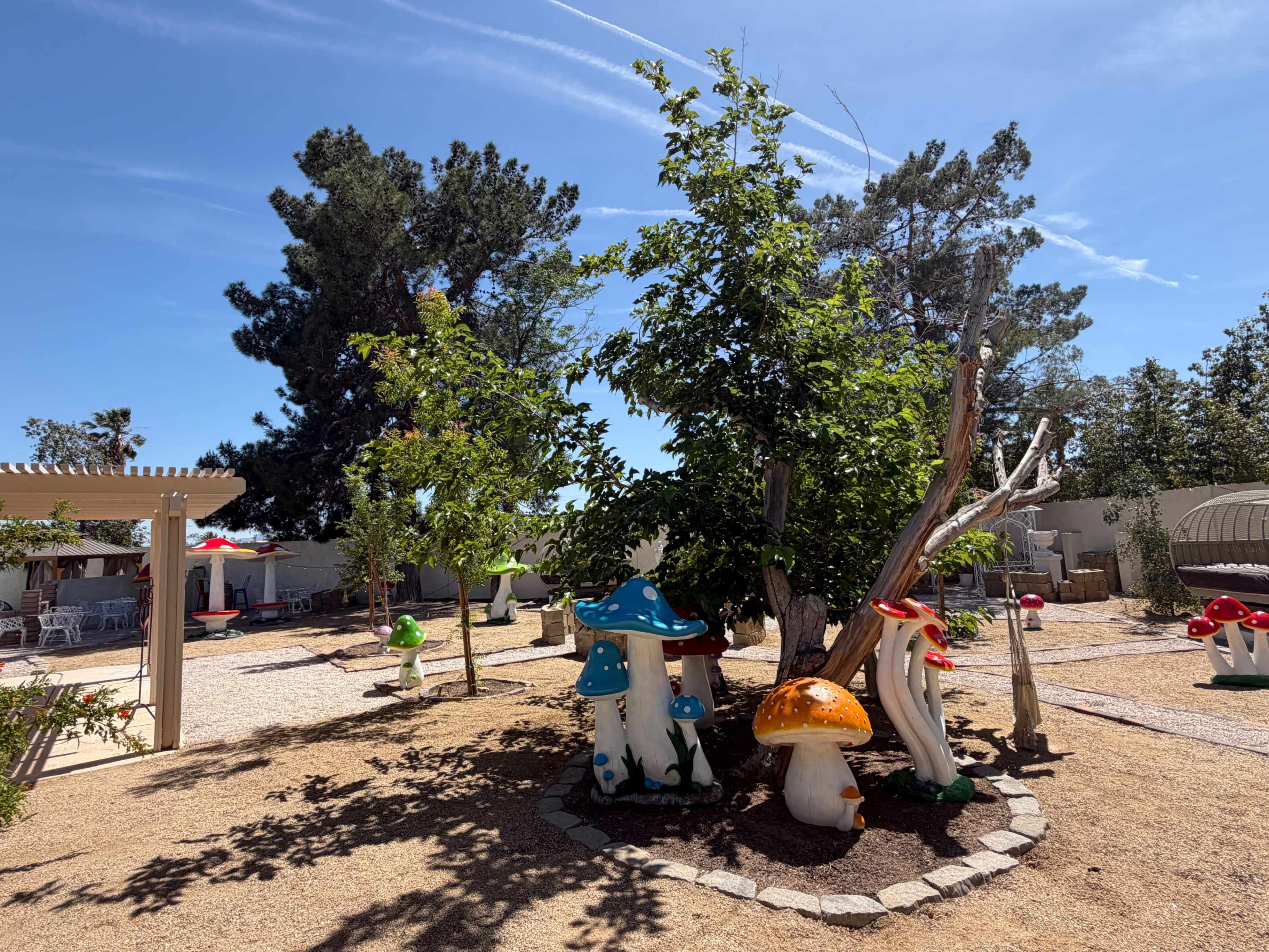 Mushroom Fairy Garden PhotoShoot Outdoor Area Image in The Section 10, Las Vegas, NV