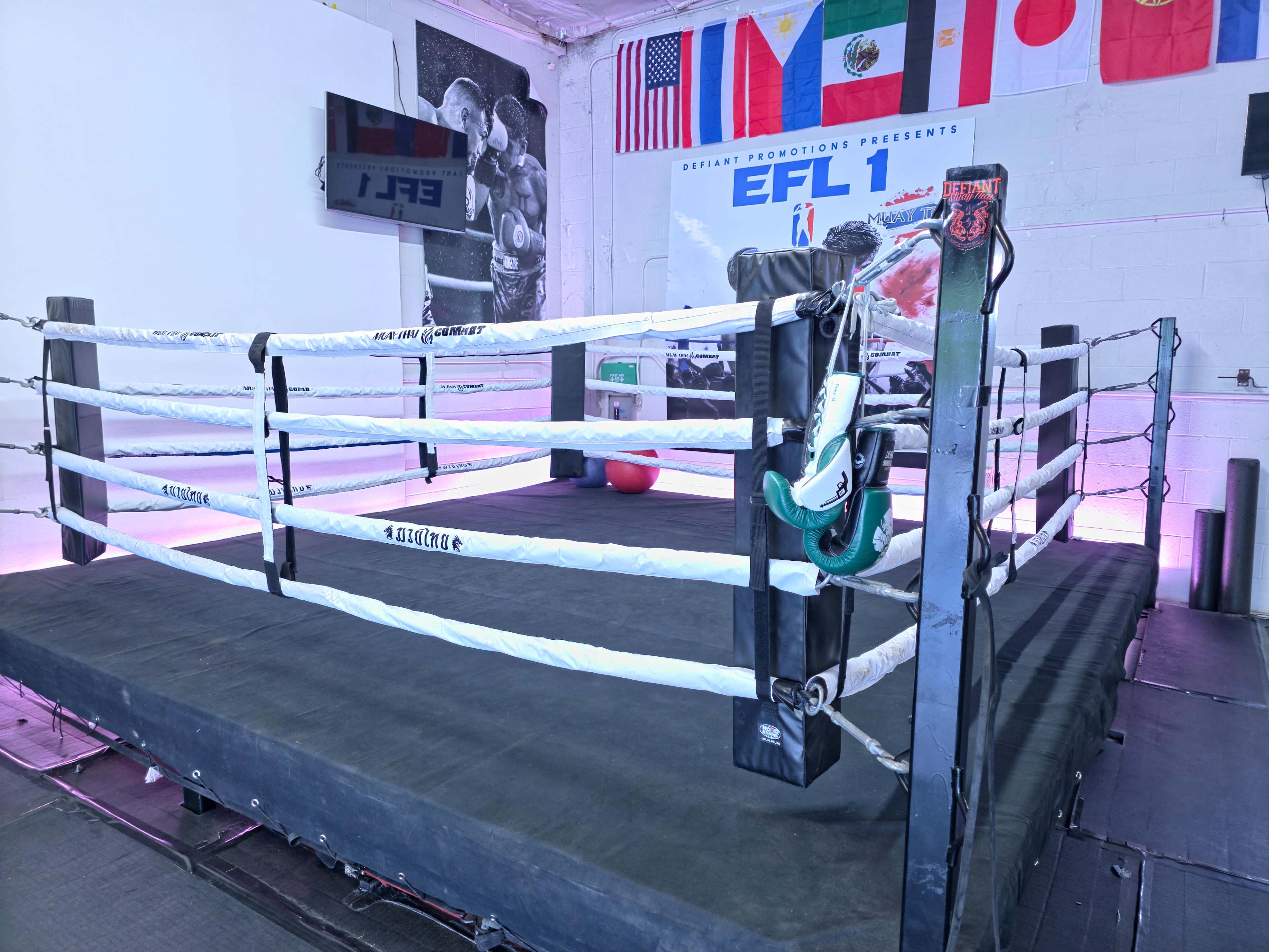 The image shows a boxing ring with a black mat and white ropes, set in a training facility adorned with various national flags on the wall.