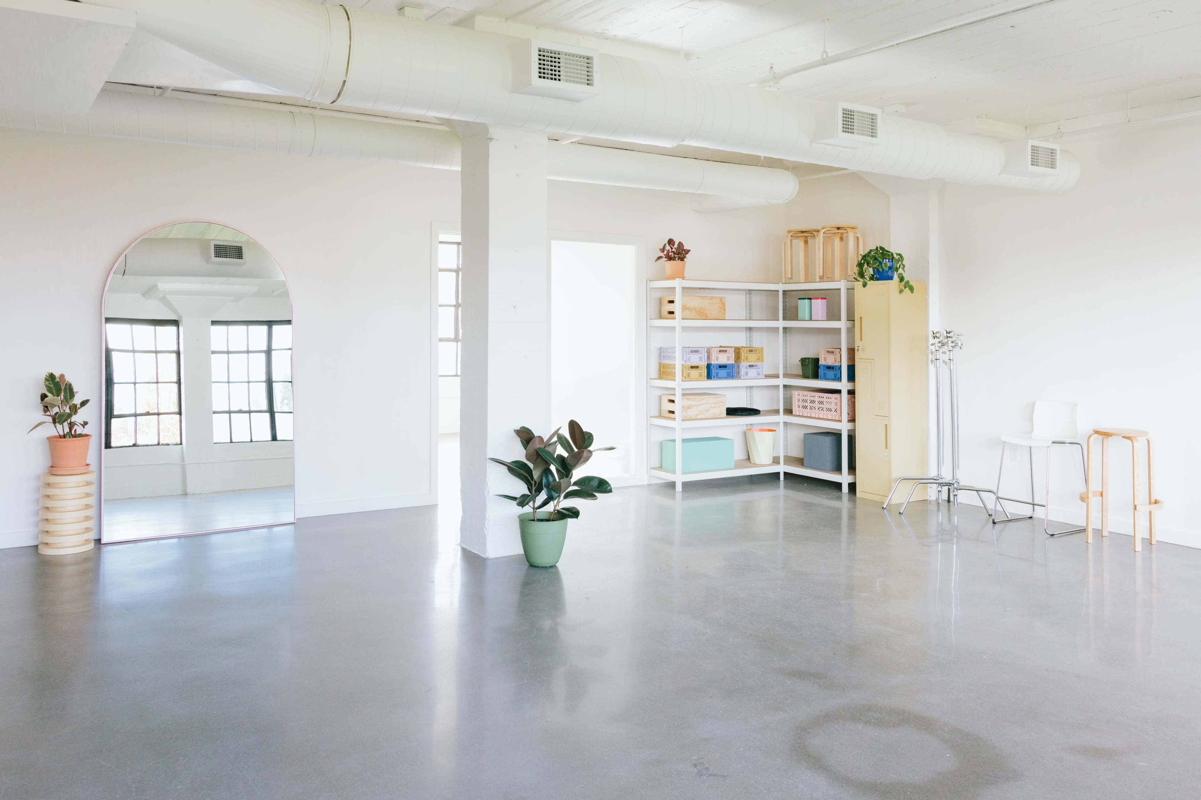 A spacious, well-lit interior with a gray floor, white walls, a shelving unit filled with boxes, and two plants placed in pots.
