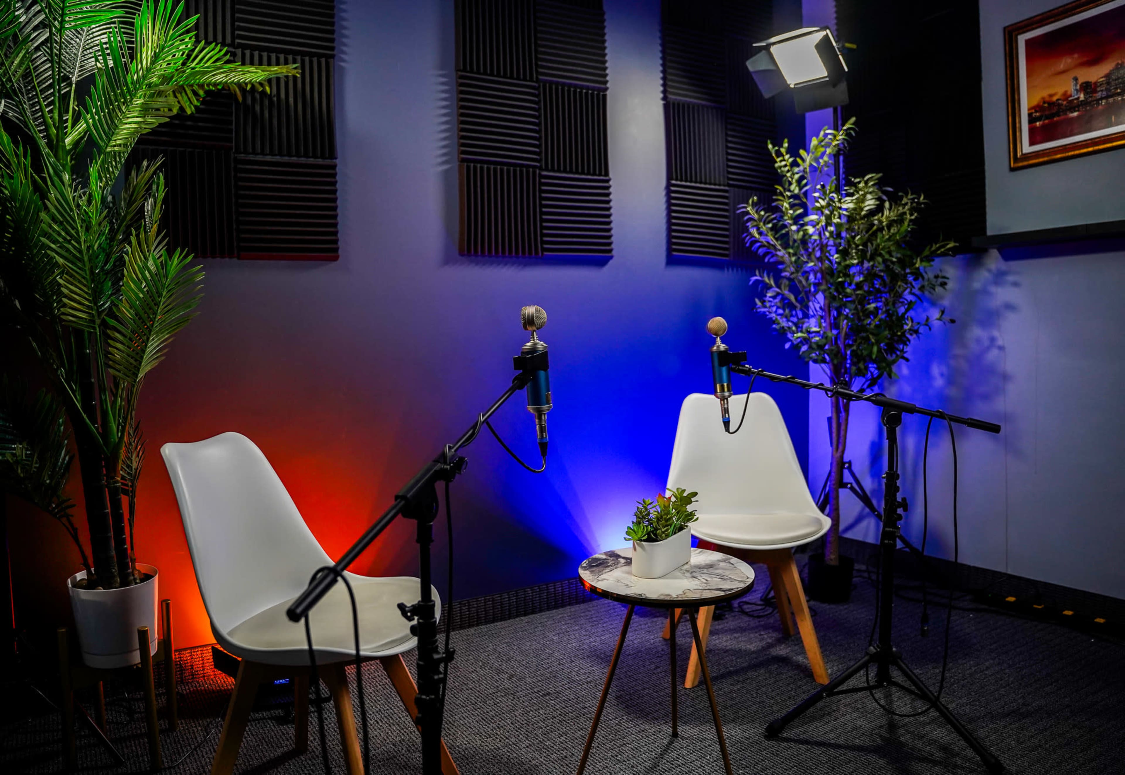 A podcast recording setup with two white chairs, microphones on stands, and a small table with a potted plant against a backdrop of colorful lighting and acoustic panels.