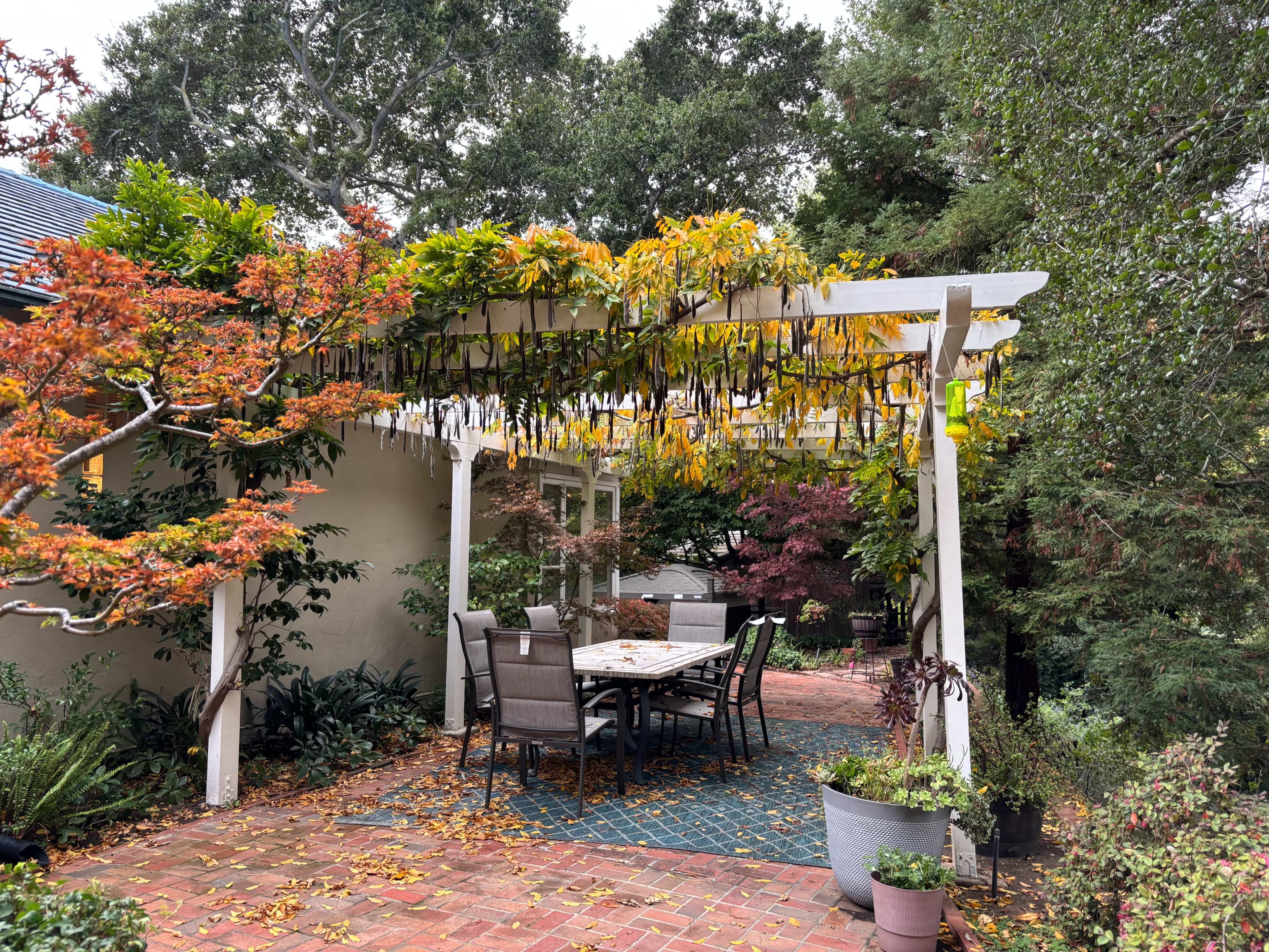 Scenic Garden Backyard with Deck and San Leandro Creek Views — Perfect for Photoshoots Image in Sheffield Village, San Leandro, CA