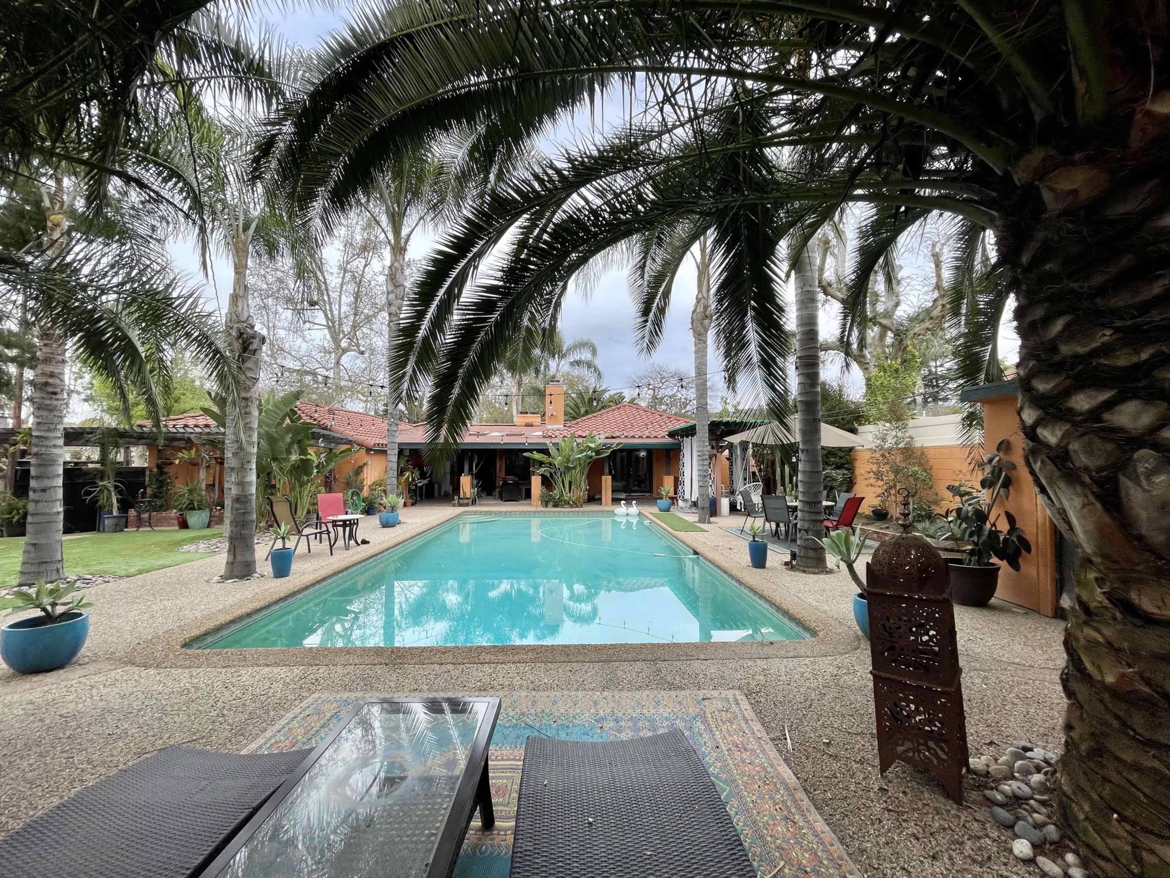 A swimming pool surrounded by palm trees and a landscaped courtyard features lounge chairs and potted plants near a single-story building.