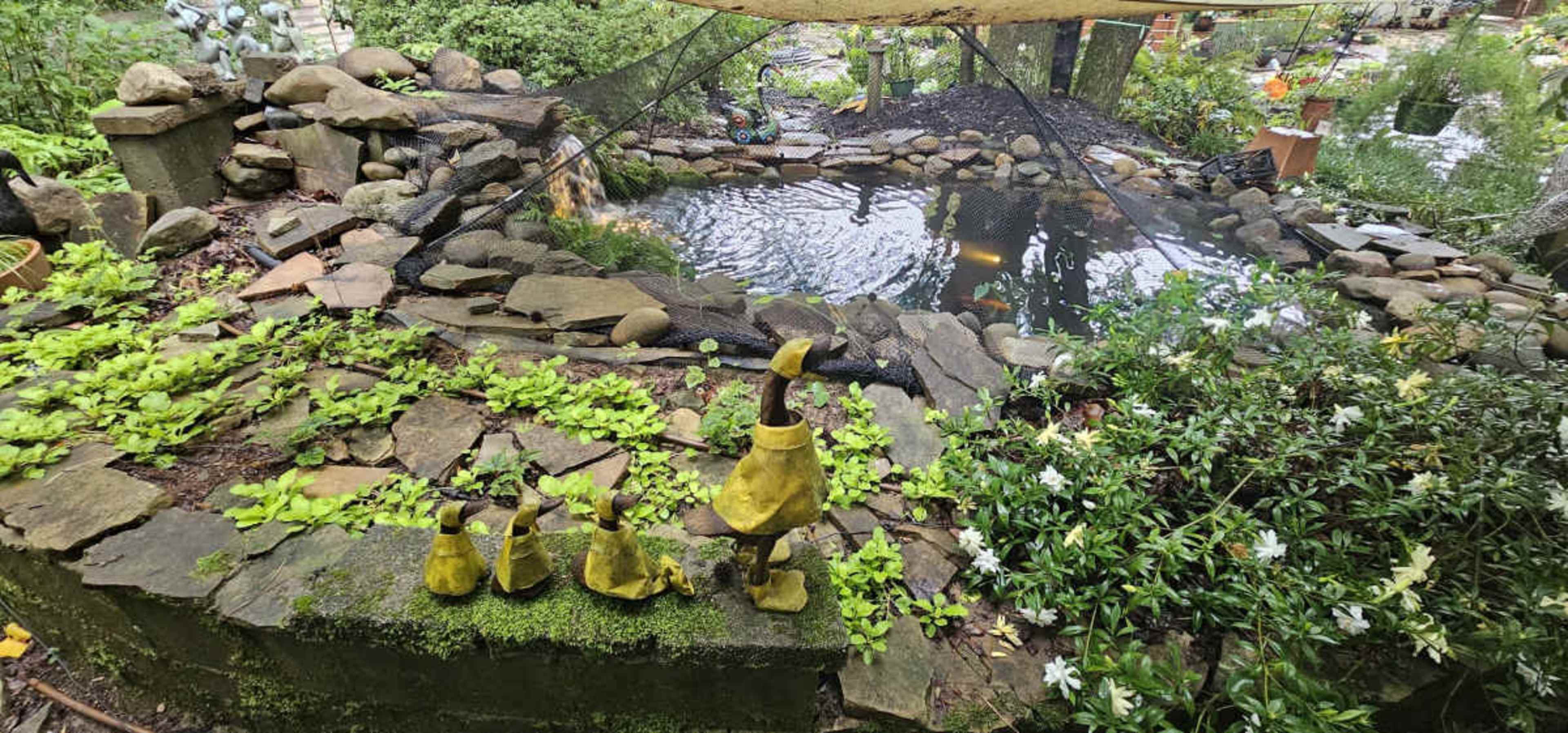 The image shows a landscaped garden featuring a small pond surrounded by rocks, plants, and sculptures arranged on the ground.
