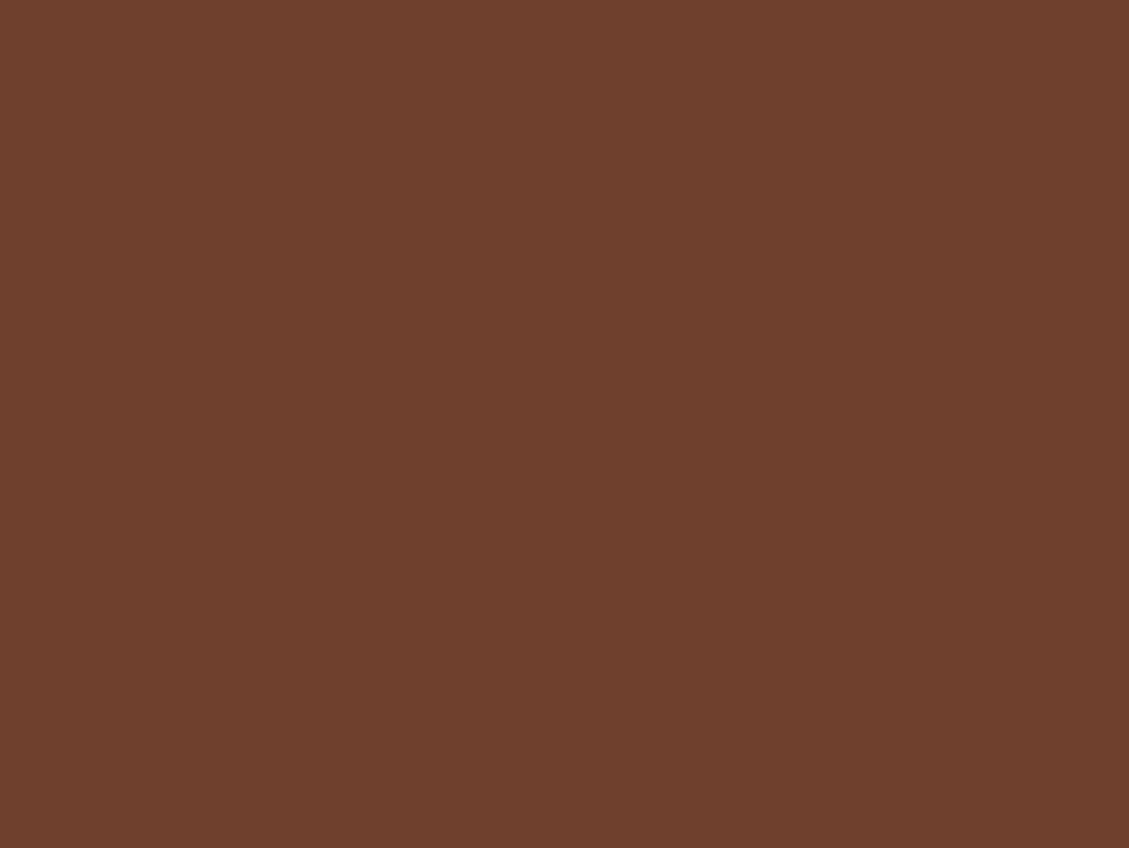 Chestnut Seamless Backdrop Setup