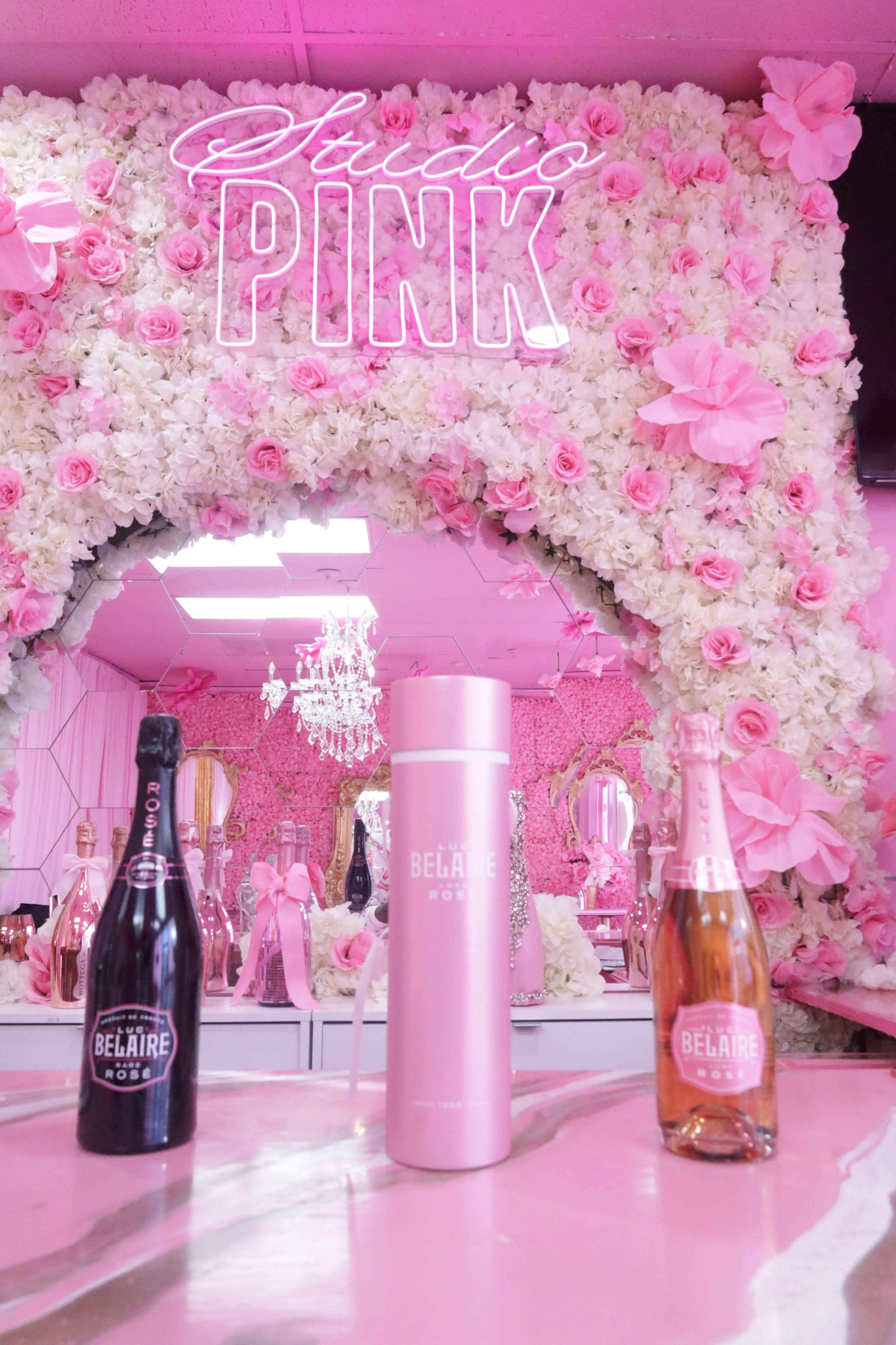 The Pink Lounge Image in Hempstead, Merrick, NY