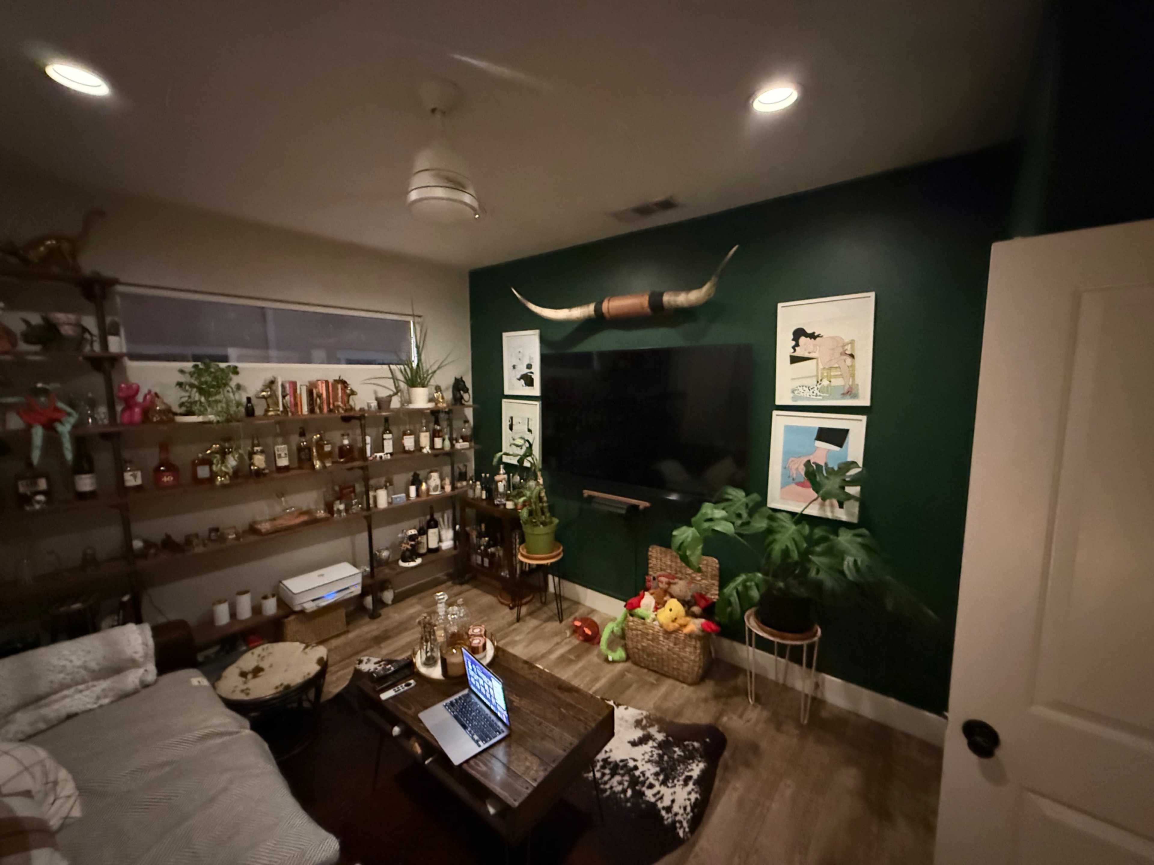 The room features a dark green accent wall, a large television, and a shelf filled with various bottles and plants, with a couch and a coffee table in the foreground.