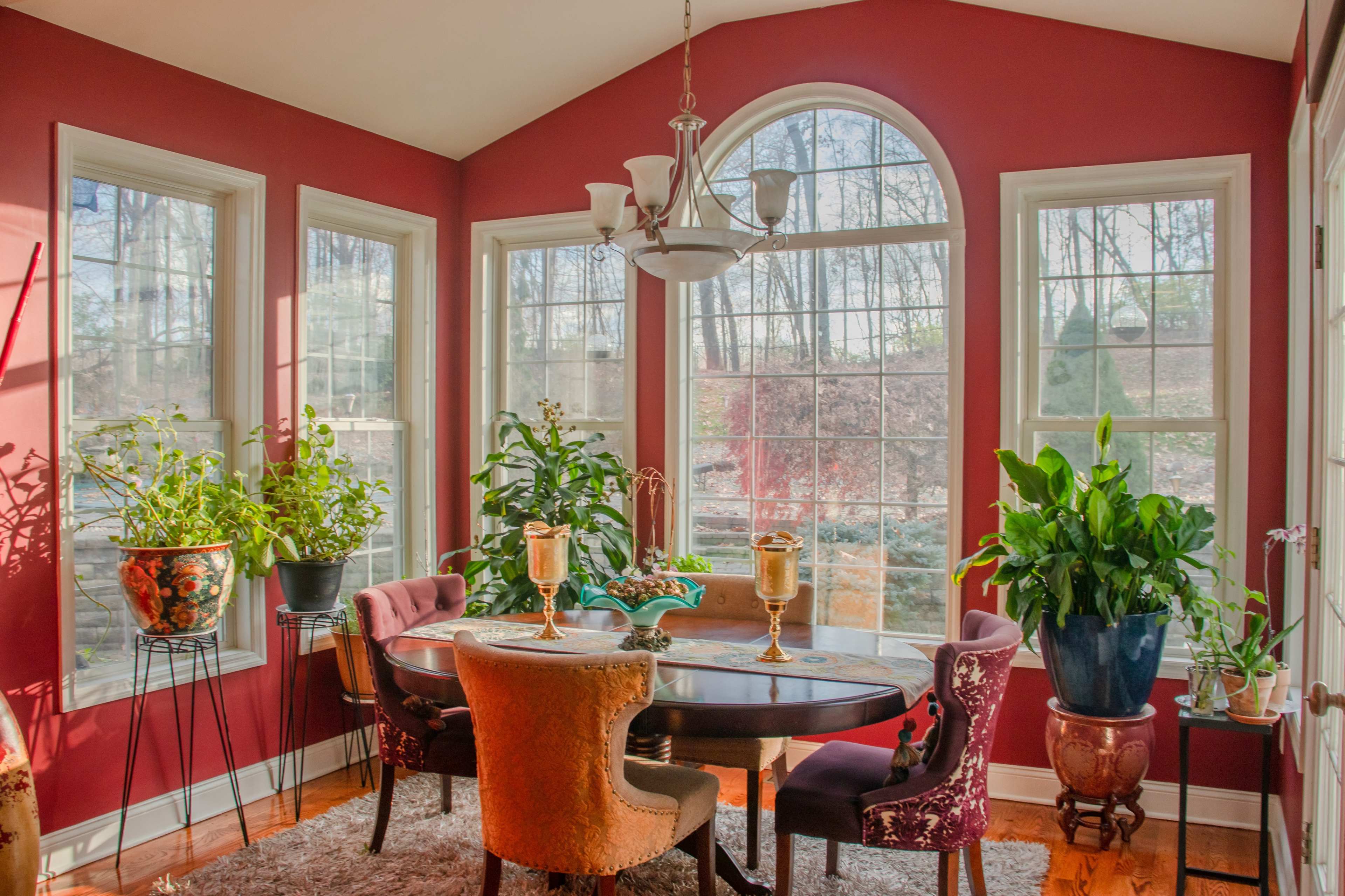 A dining area features a round table surrounded by ornate chairs, large windows, and several indoor plants.