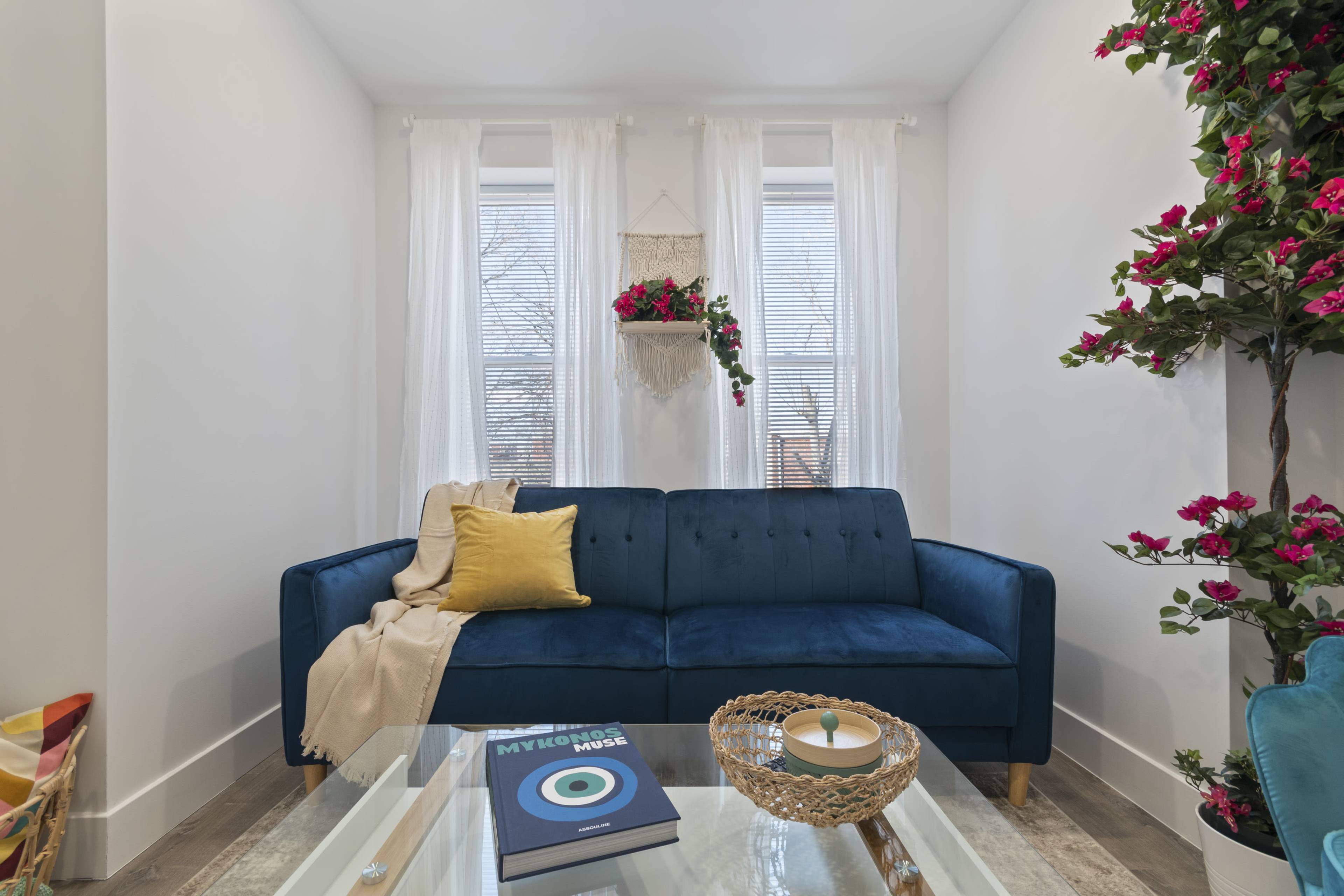 A blue couch with a yellow throw pillow sits in a well-lit room adorned with white curtains and plants.
