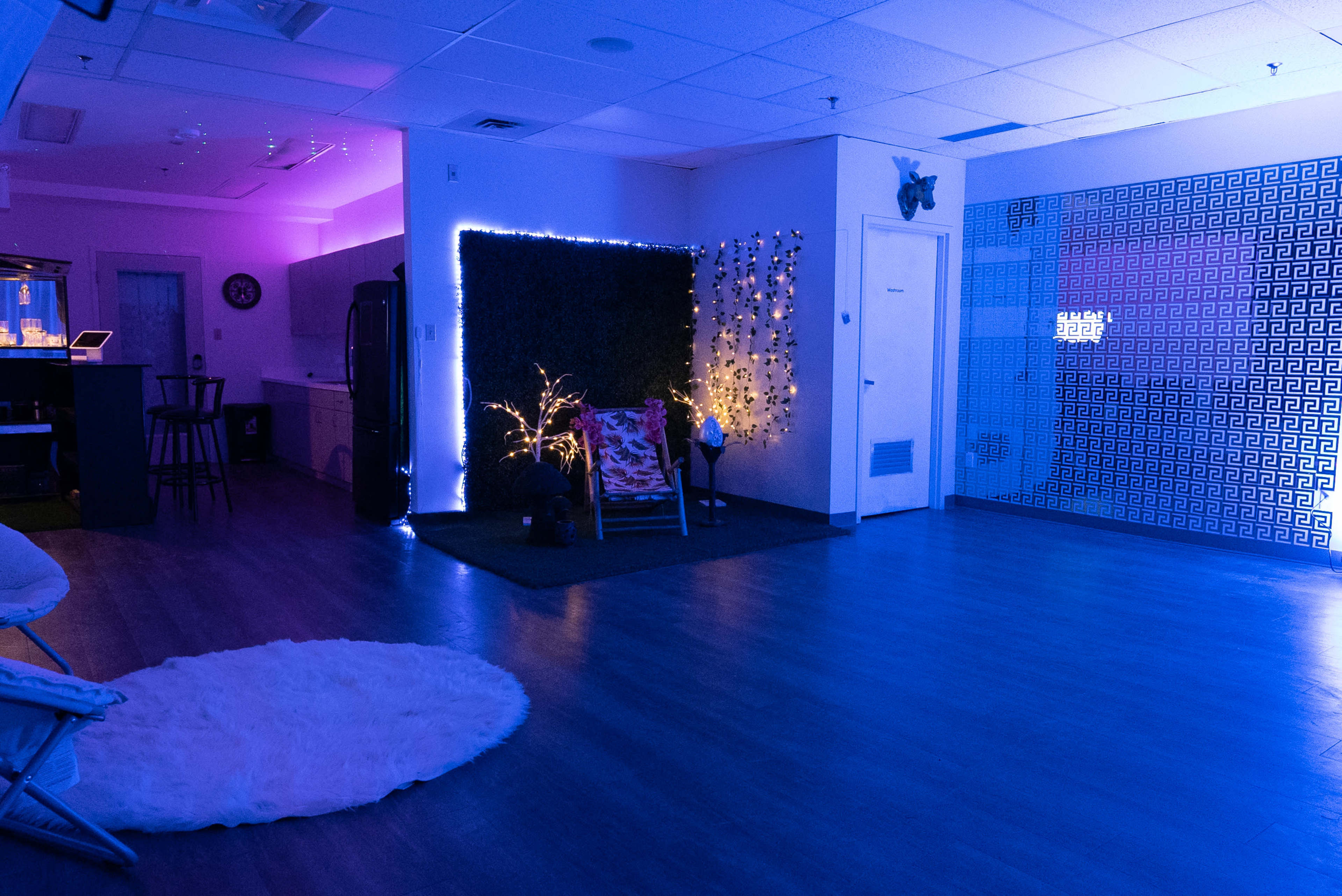 The room features purple and blue lighting, with a seating area that includes a chair surrounded by plants, and a textured wall on one side.